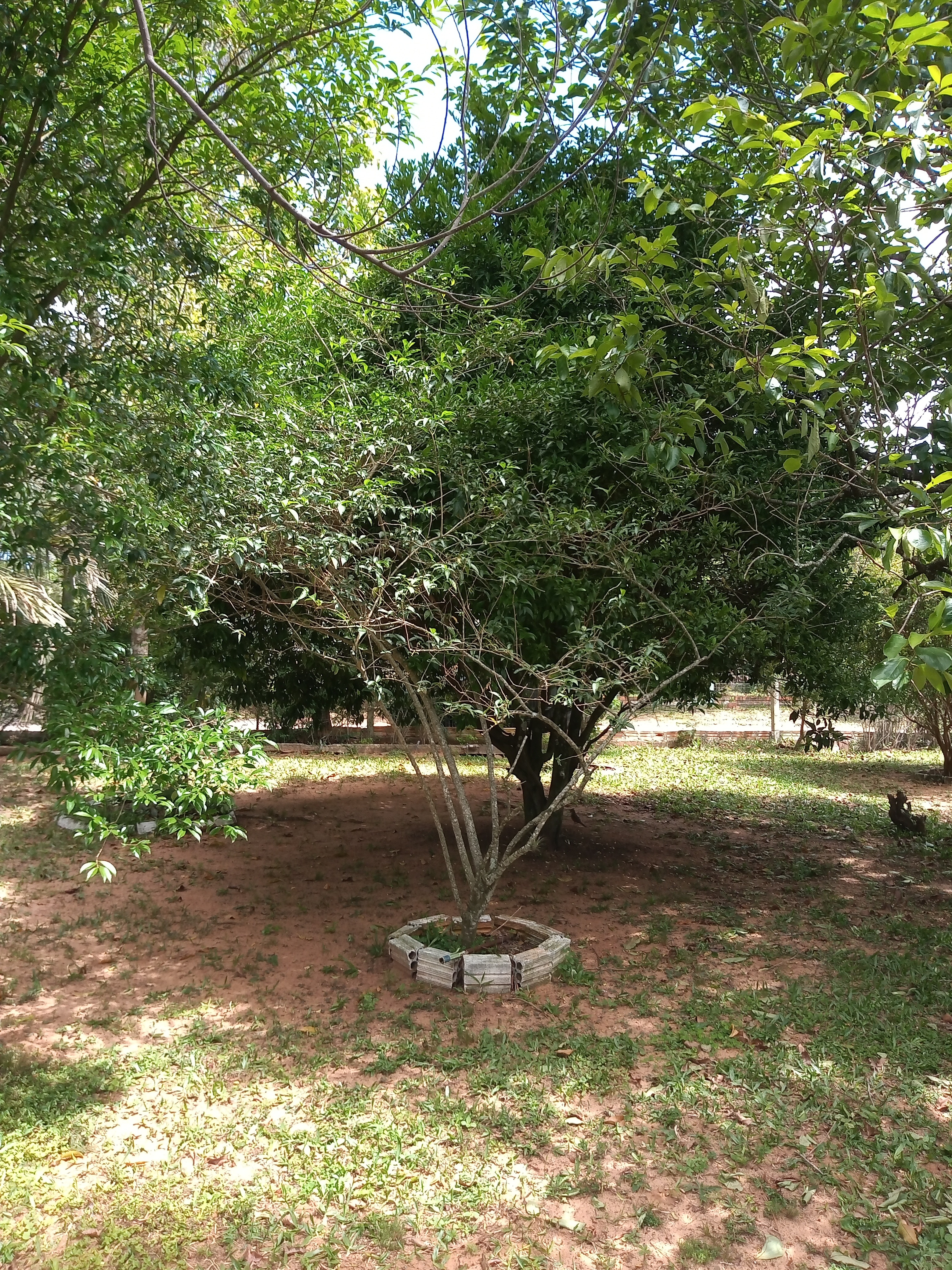 Casa, 3 quartos, 60 m² - Foto 9