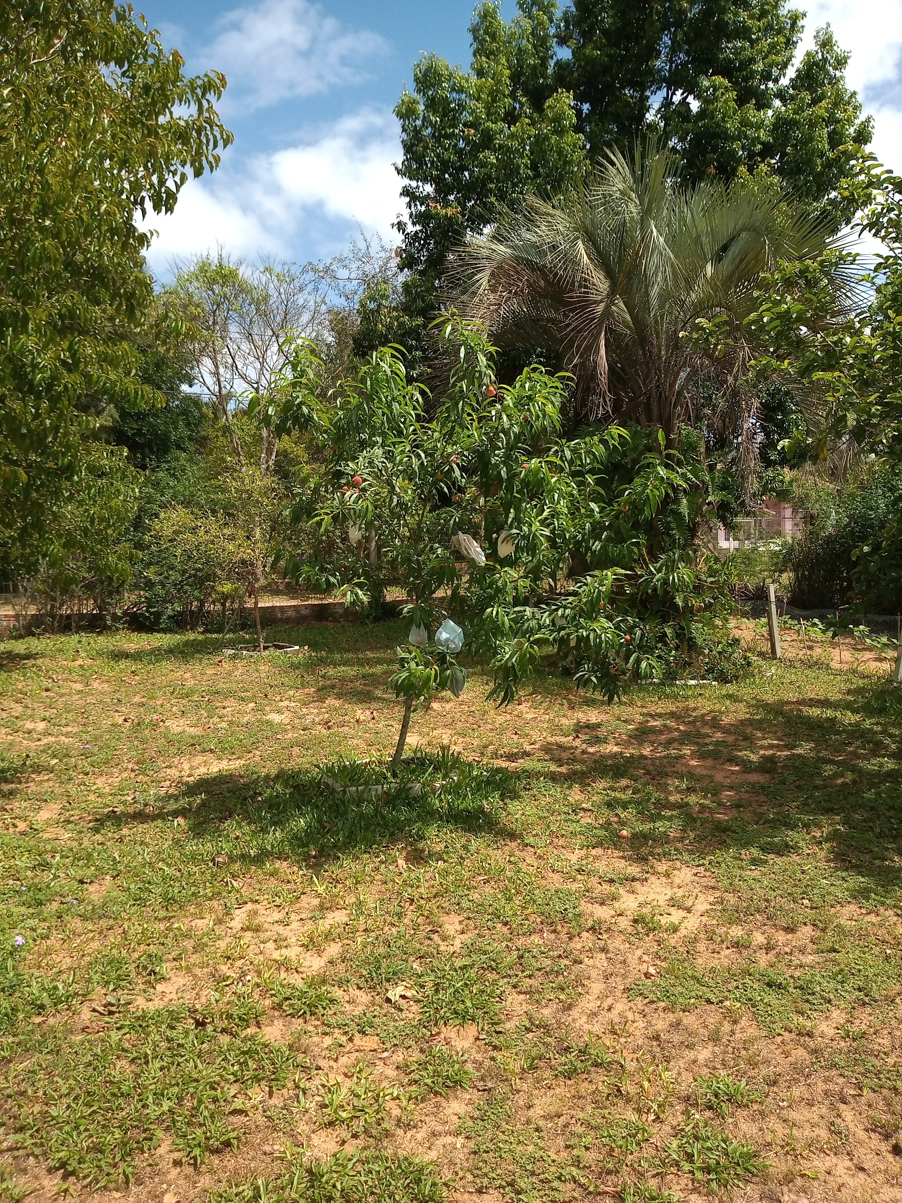 Casa, 3 quartos, 60 m² - Foto 10