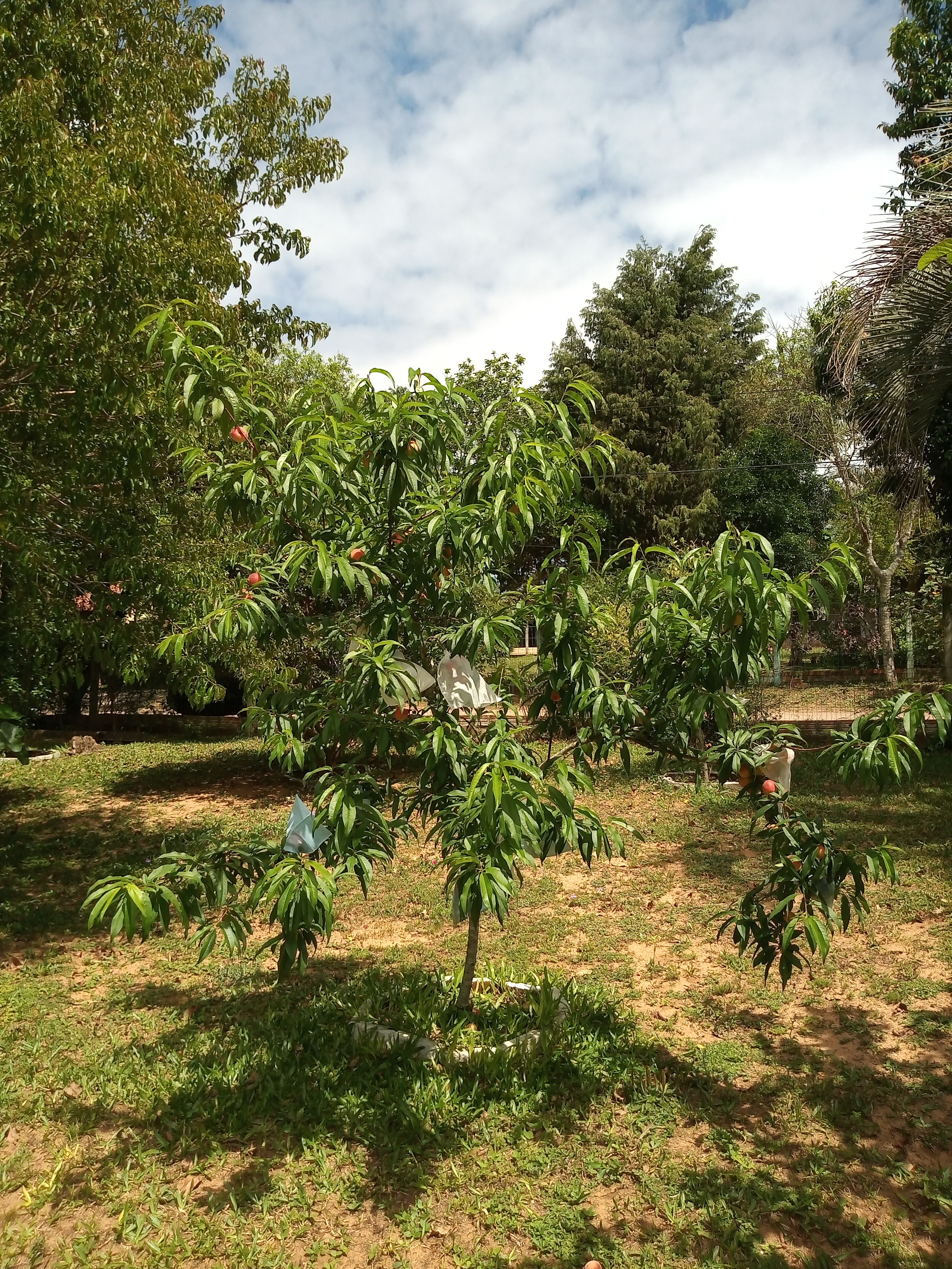 Casa, 3 quartos, 60 m² - Foto 11