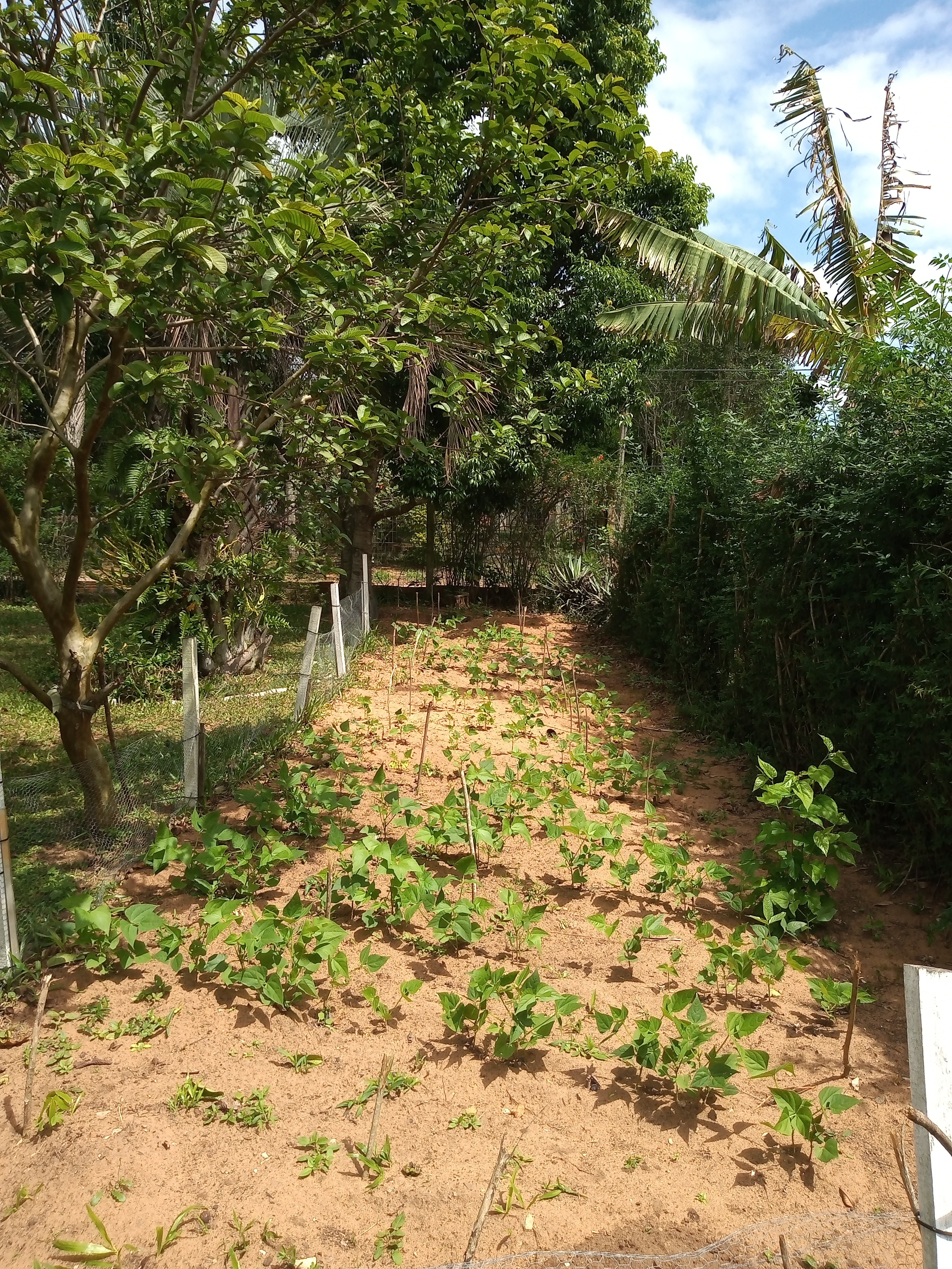 Casa, 3 quartos, 60 m² - Foto 12