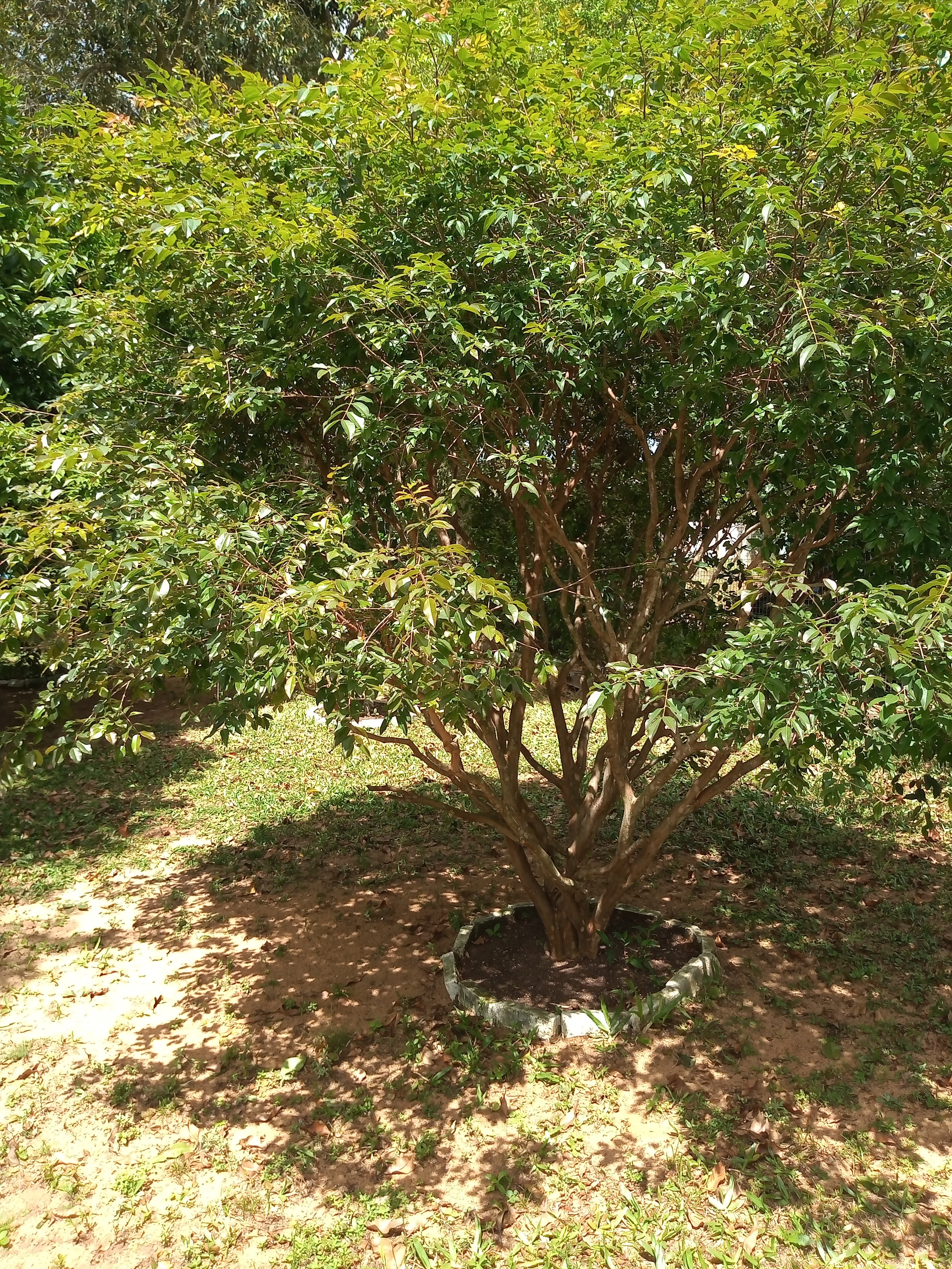 Casa, 3 quartos, 60 m² - Foto 13