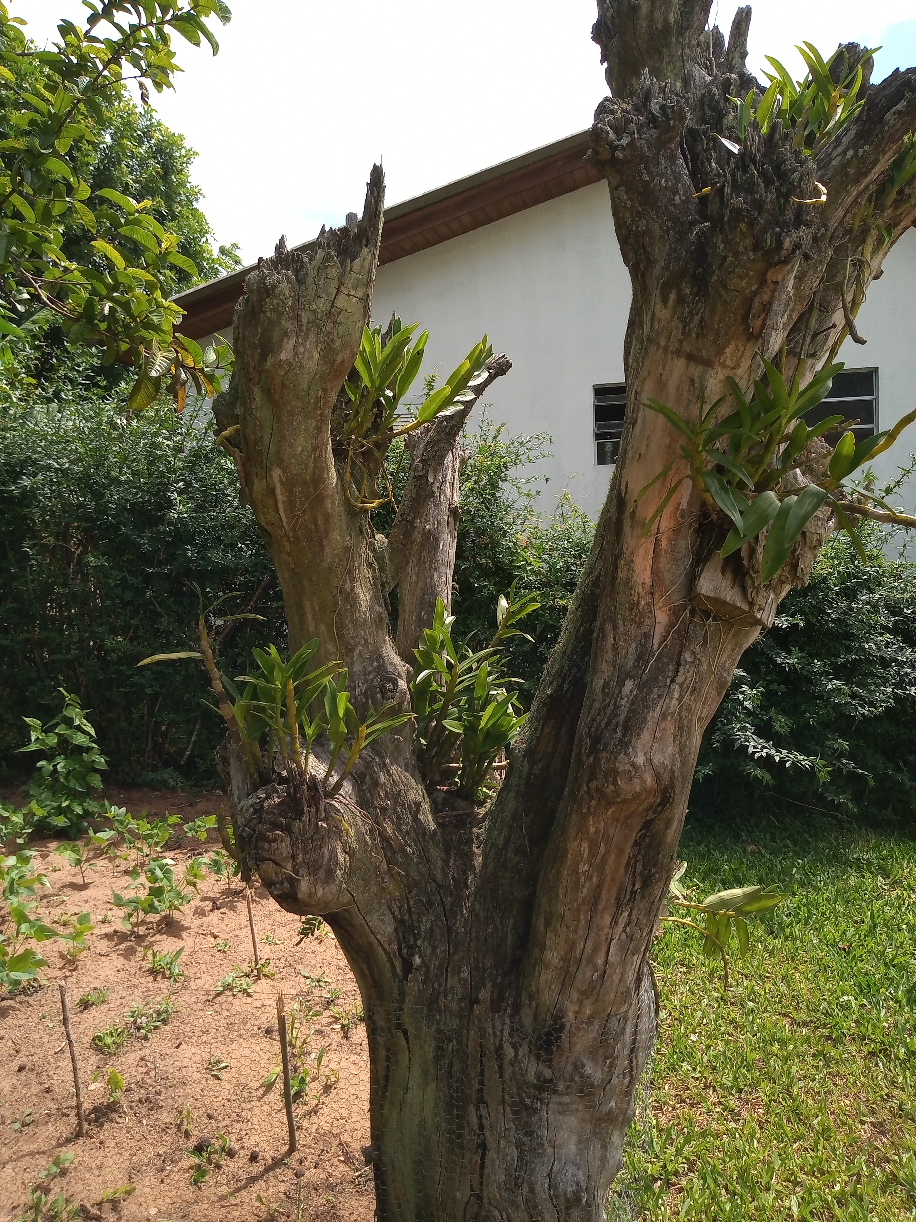 Casa, 3 quartos, 60 m² - Foto 14