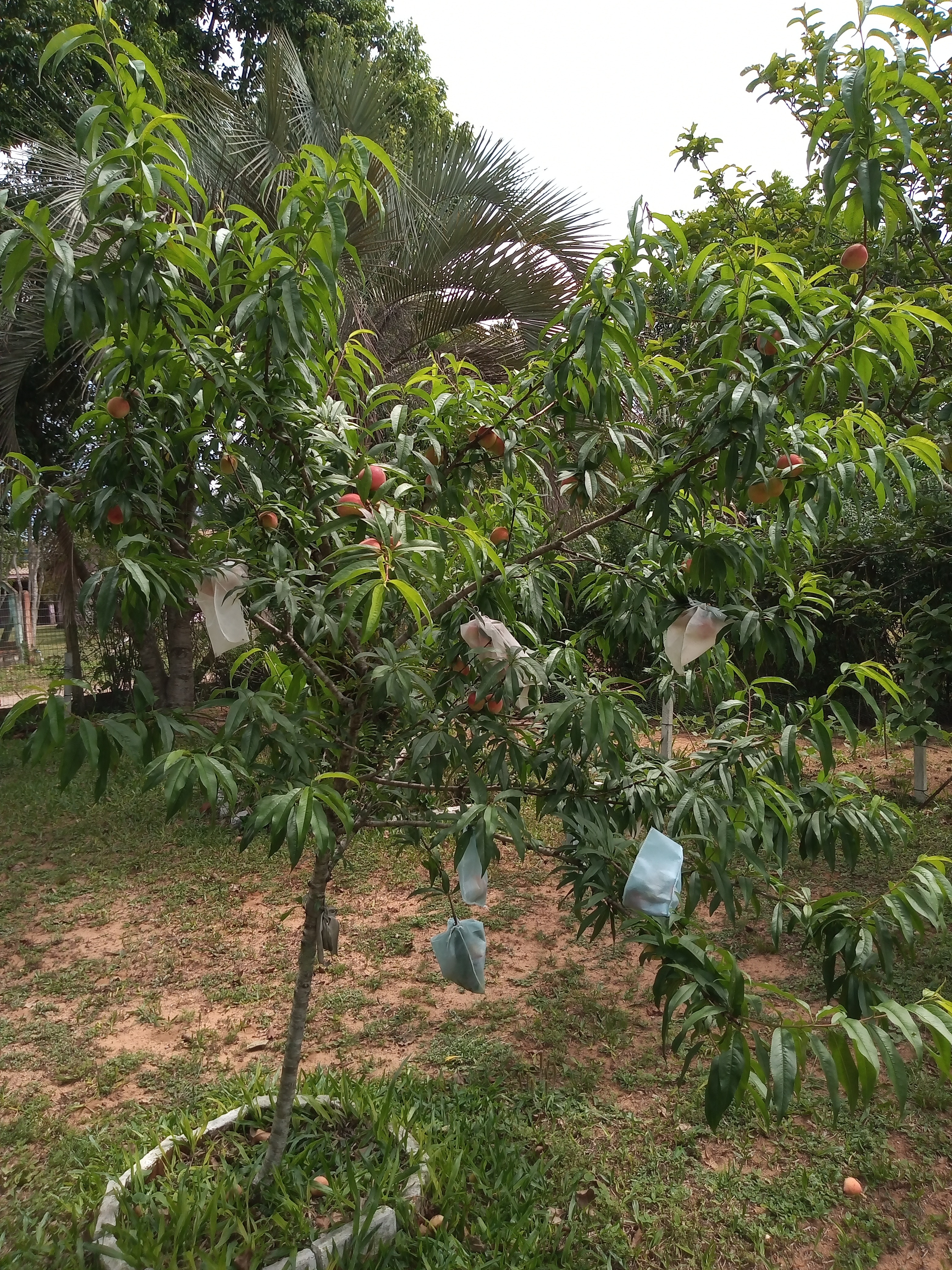 Casa, 3 quartos, 60 m² - Foto 15