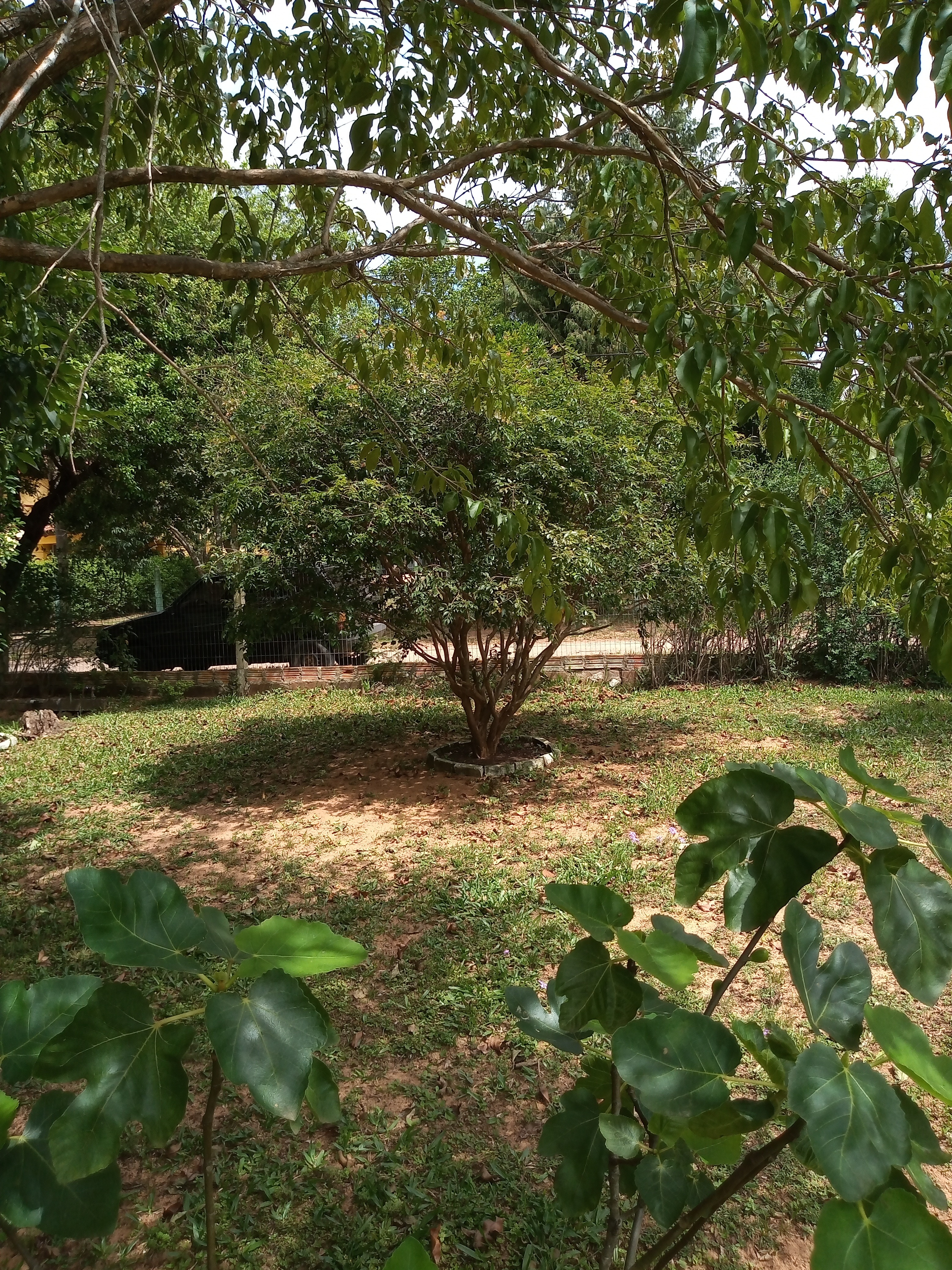 Casa, 3 quartos, 60 m² - Foto 16