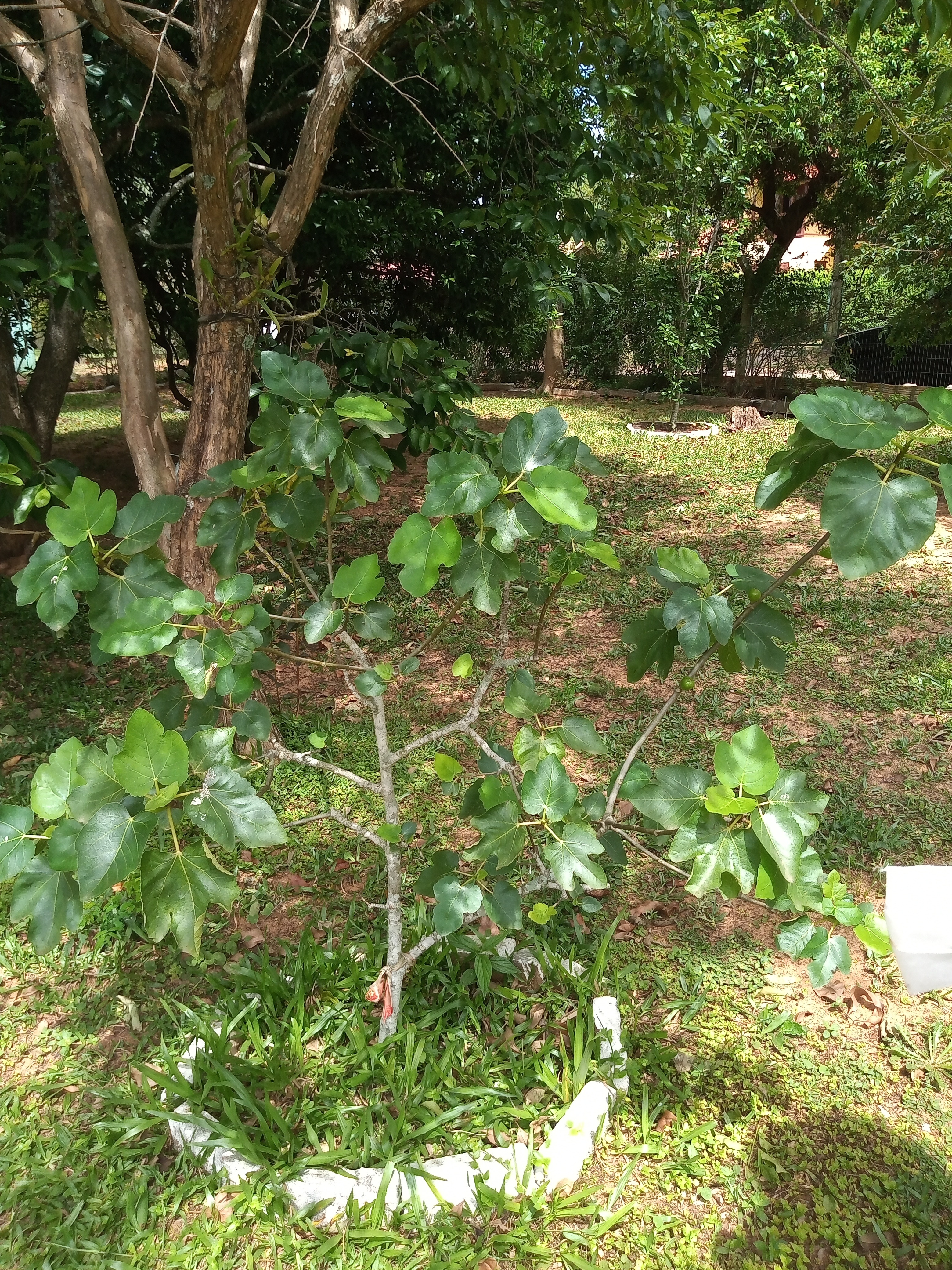 Casa, 3 quartos, 60 m² - Foto 17