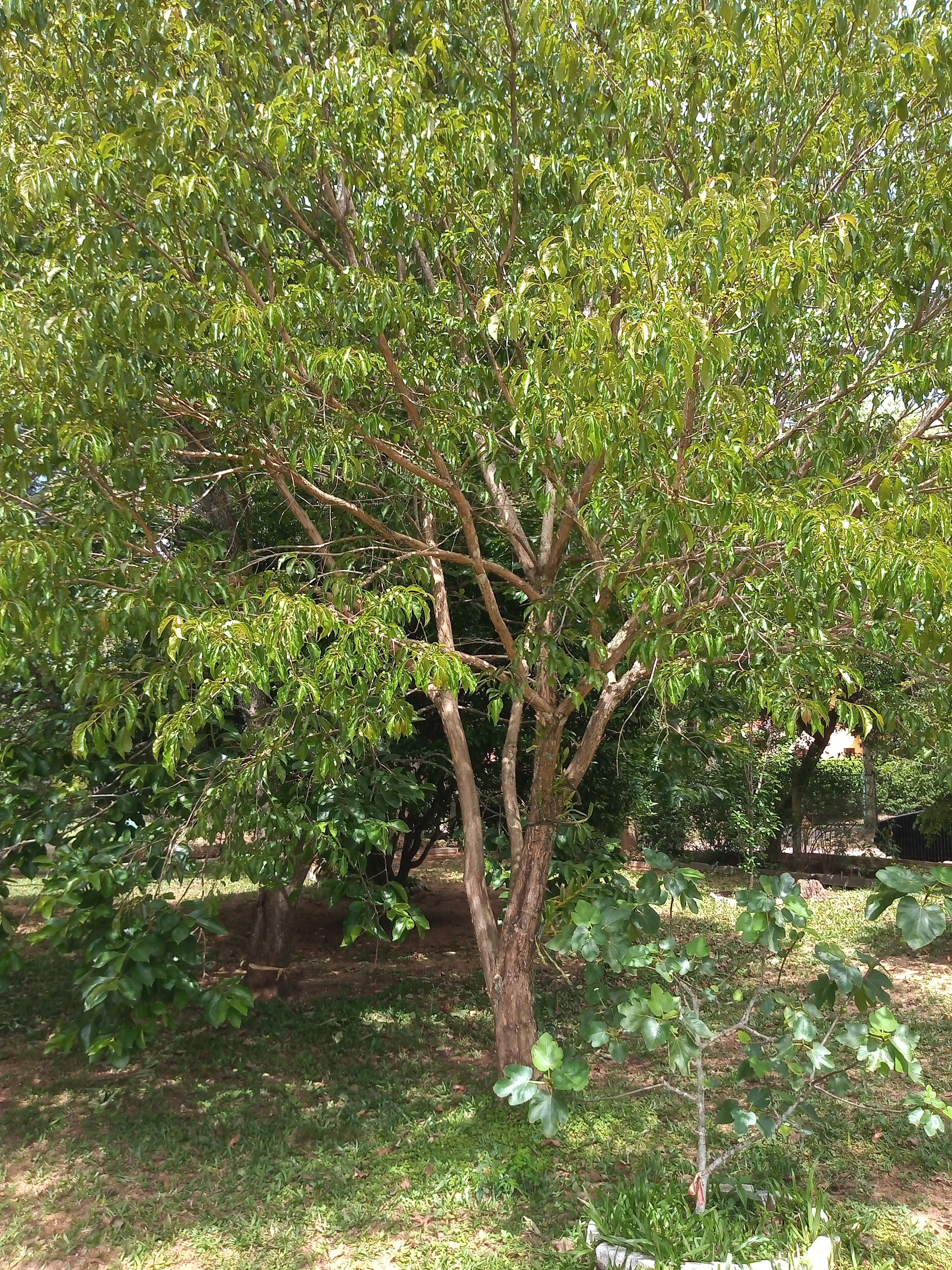 Casa, 3 quartos, 60 m² - Foto 18