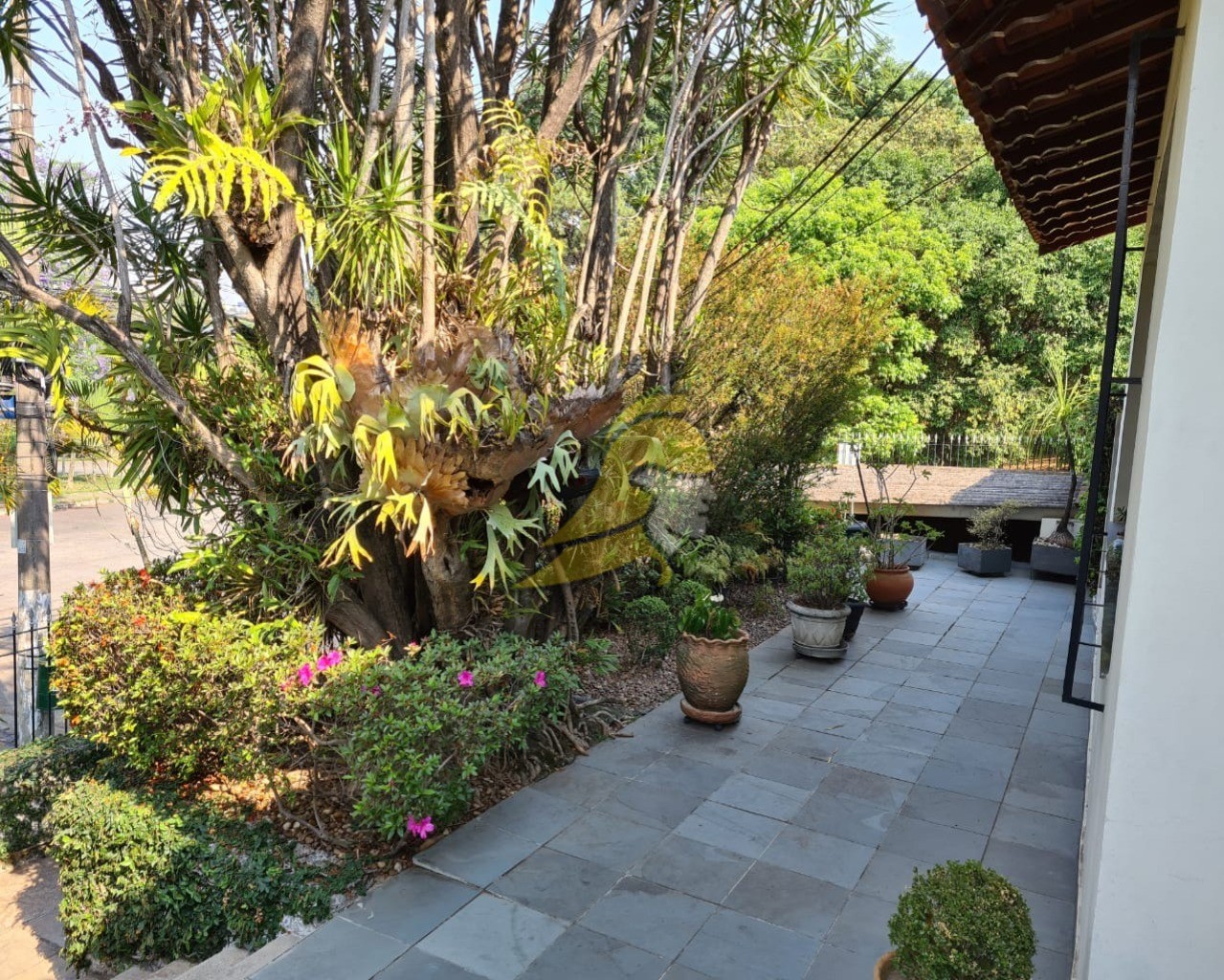 Casa, 4 quartos, 330 m² - Foto 11