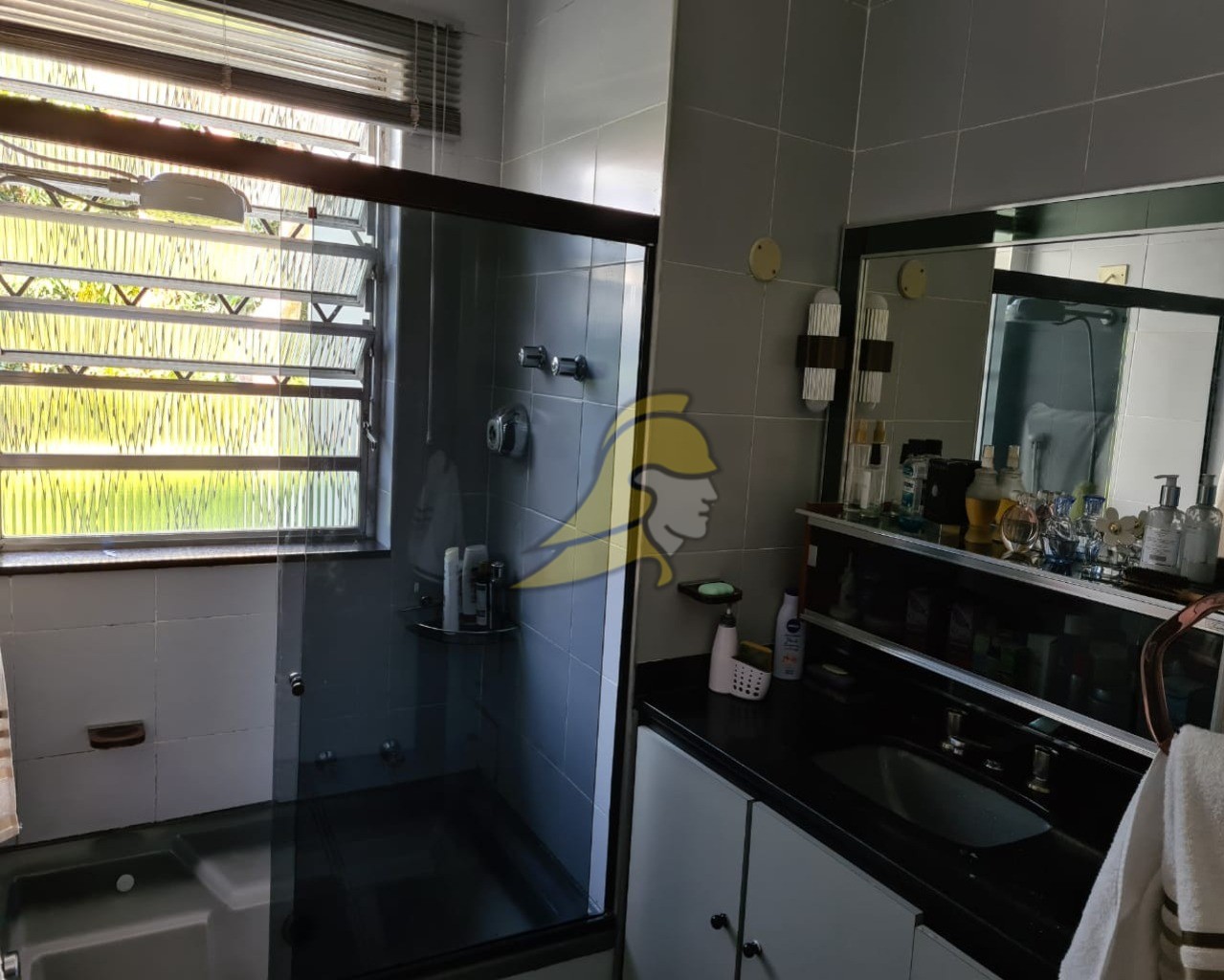 Casa, 4 quartos, 330 m² - Foto 29