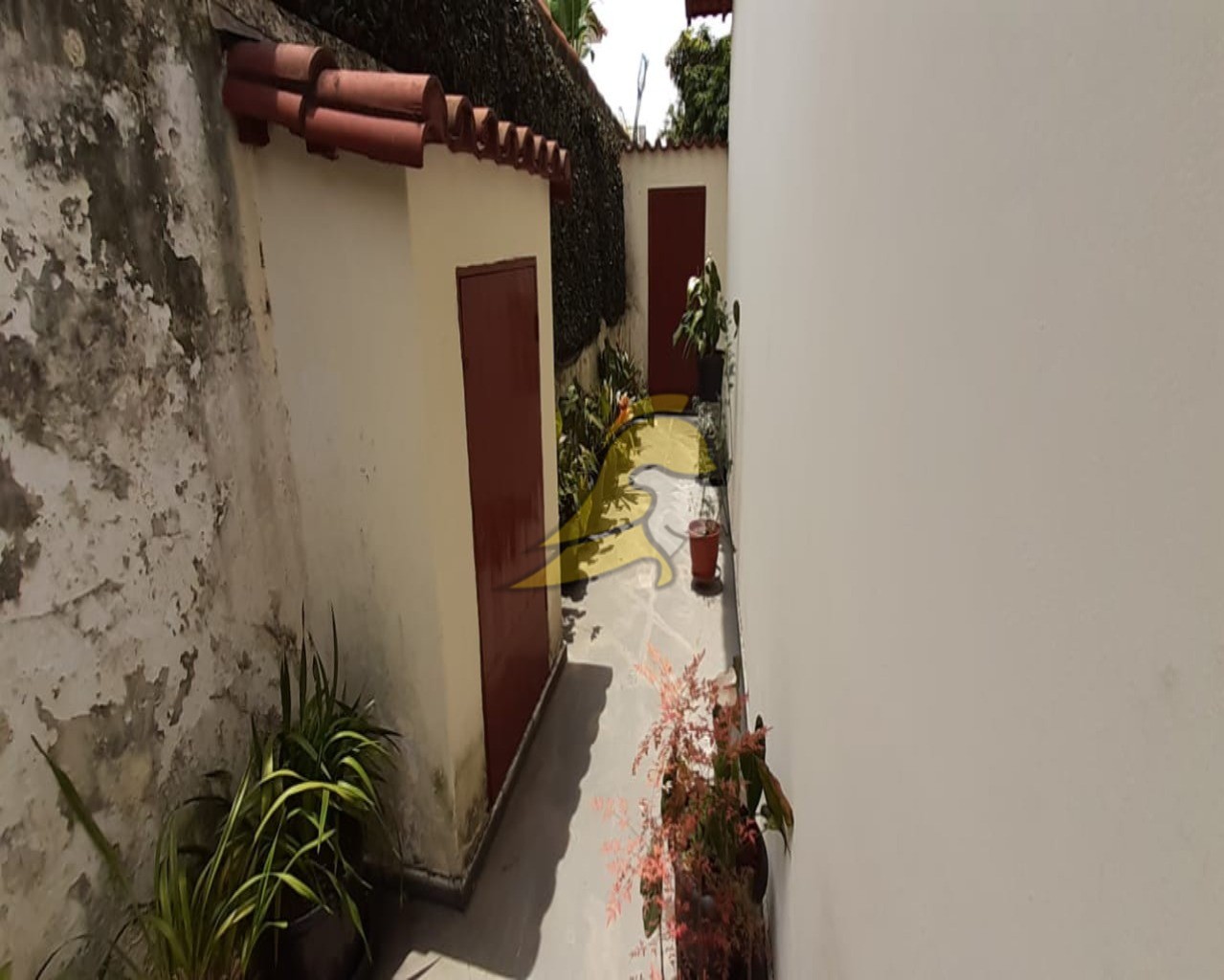 Casa, 4 quartos, 330 m² - Foto 54