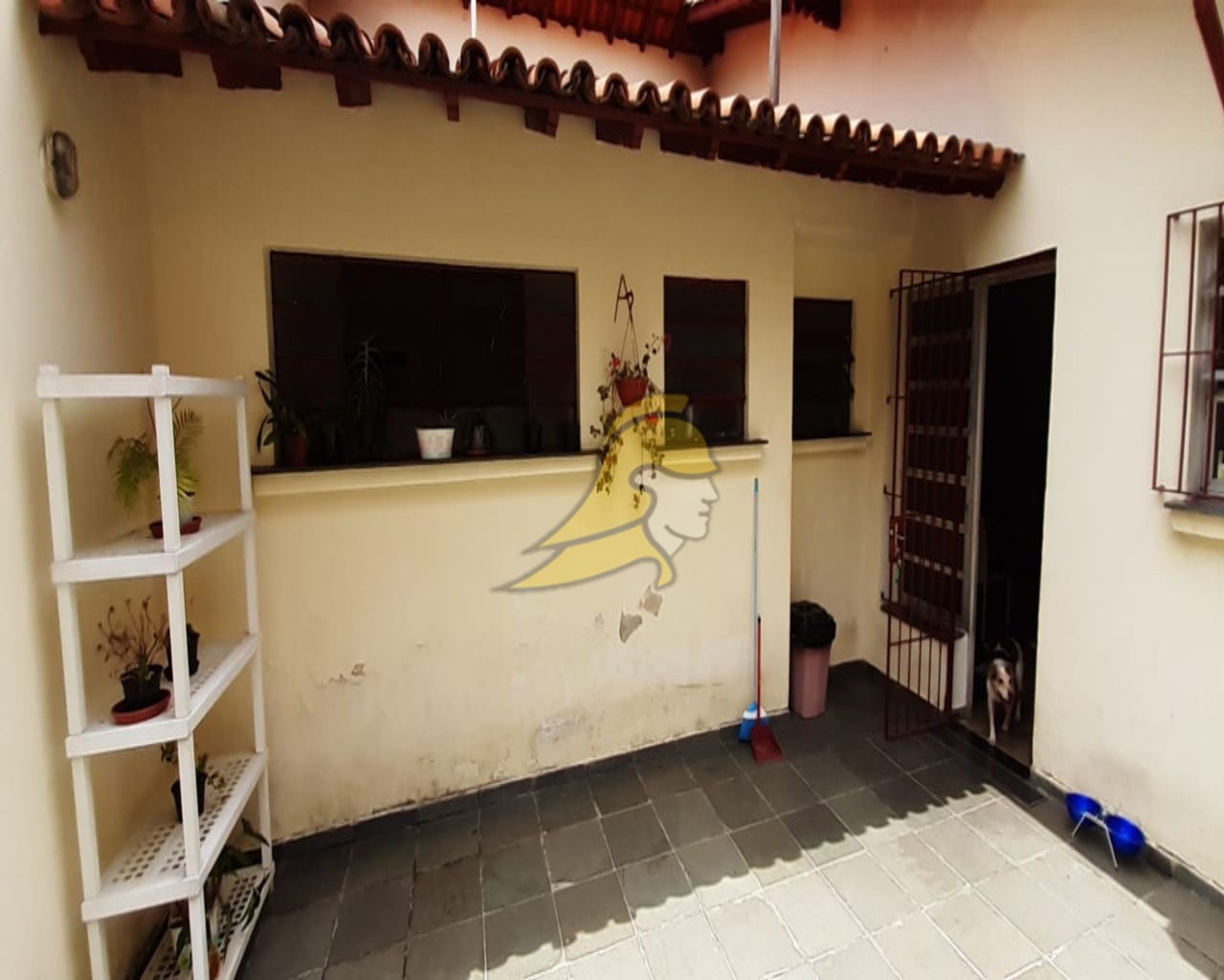 Casa, 4 quartos, 330 m² - Foto 56