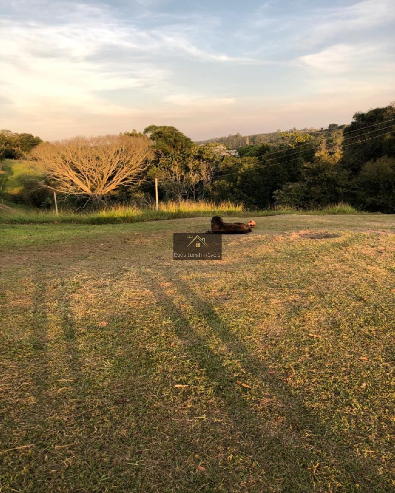 Sítio, 7 quartos, 6 hectares - Foto 12