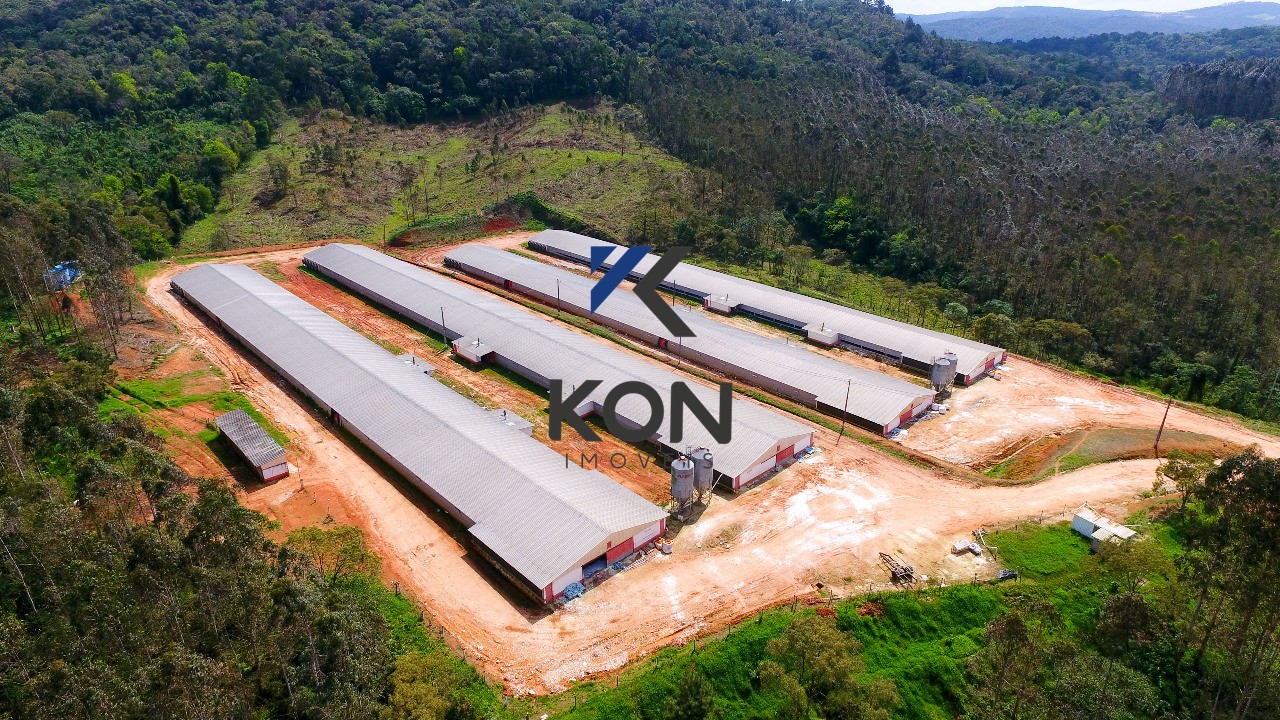 Sítio, 2 quartos, 32 hectares - Foto 10