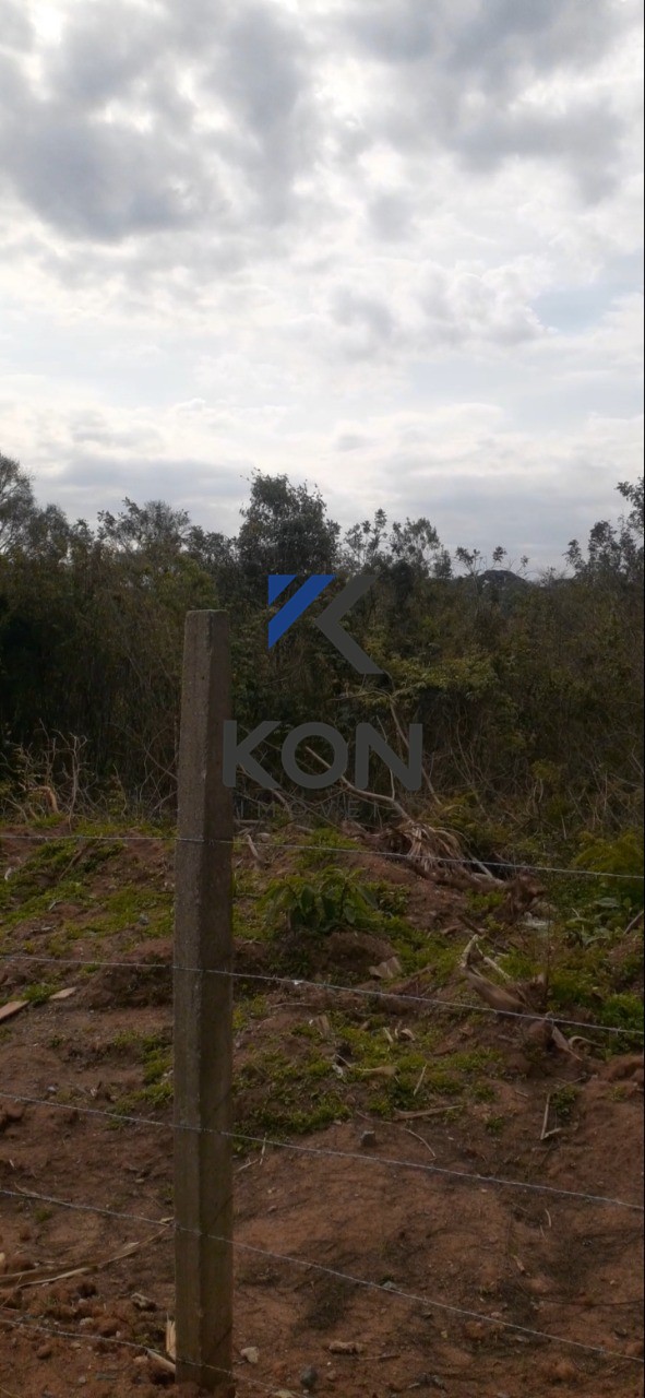 Sítio, 1 hectares - Foto 19