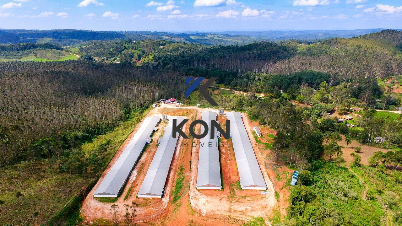 Sítio, 2 quartos, 32 hectares - Foto 7