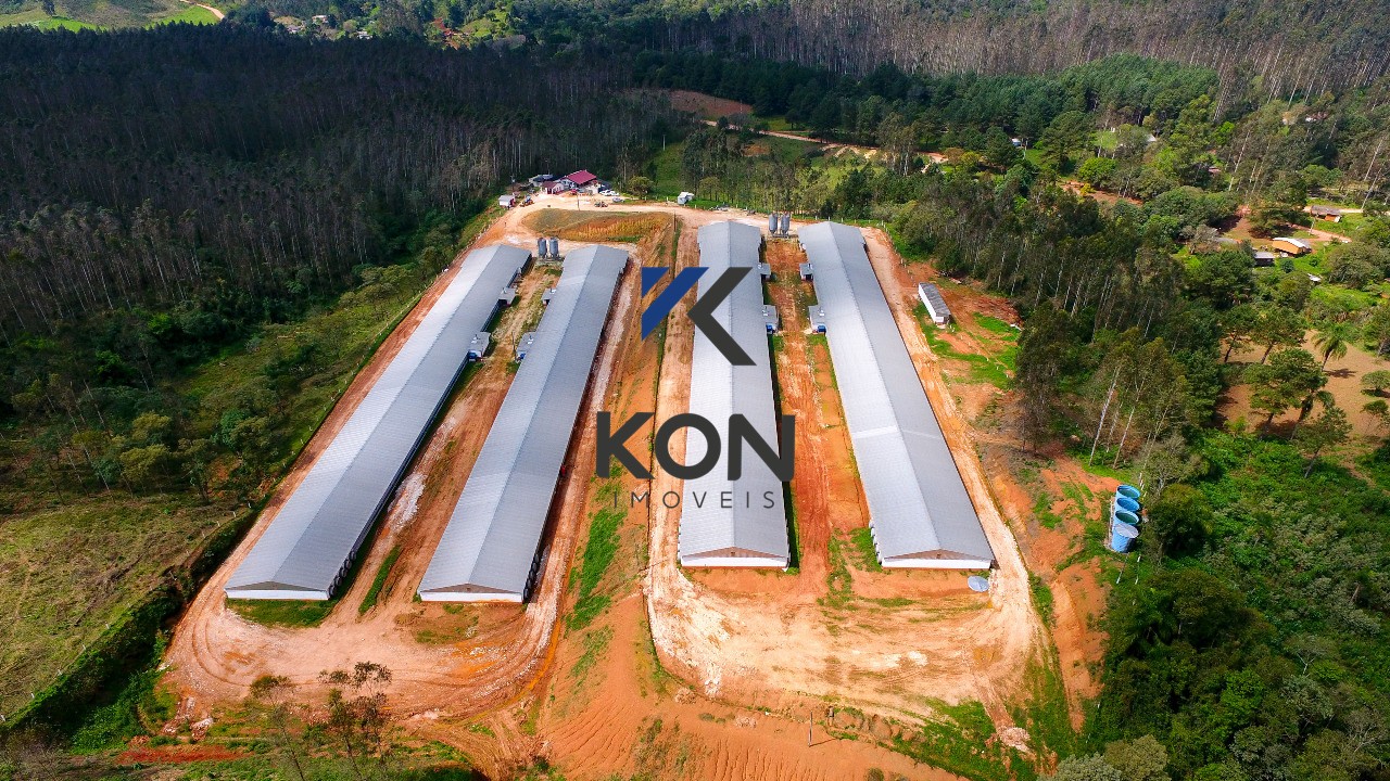 Sítio, 2 quartos, 32 hectares - Foto 6
