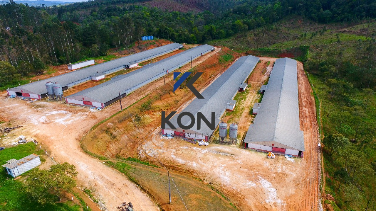 Sítio, 2 quartos, 32 hectares - Foto 11