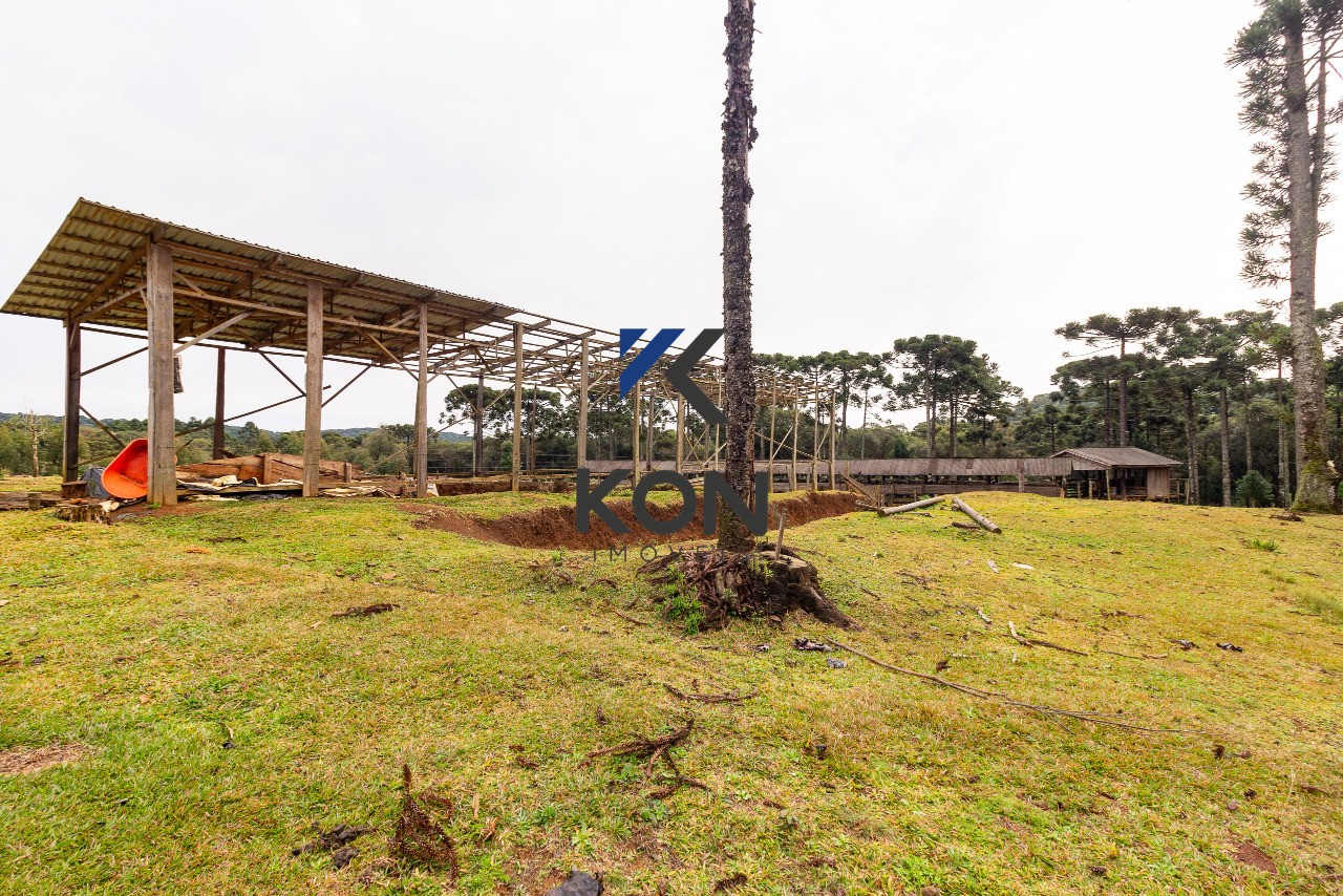Sítio, 2 quartos, 450 m² - Foto 15