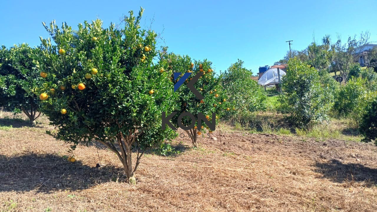 Sítio de 2,2 Hectares na Lapa/PR ? Estrada Rio da Areia: Moradia, Produção e Abundância de Água