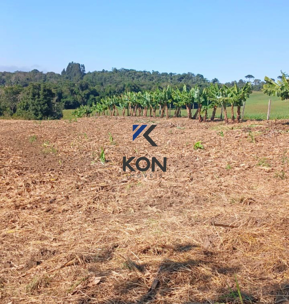 Sítio de 2,2 Hectares na Lapa/PR ? Estrada Rio da Areia: Moradia, Produção e Abundância de Água