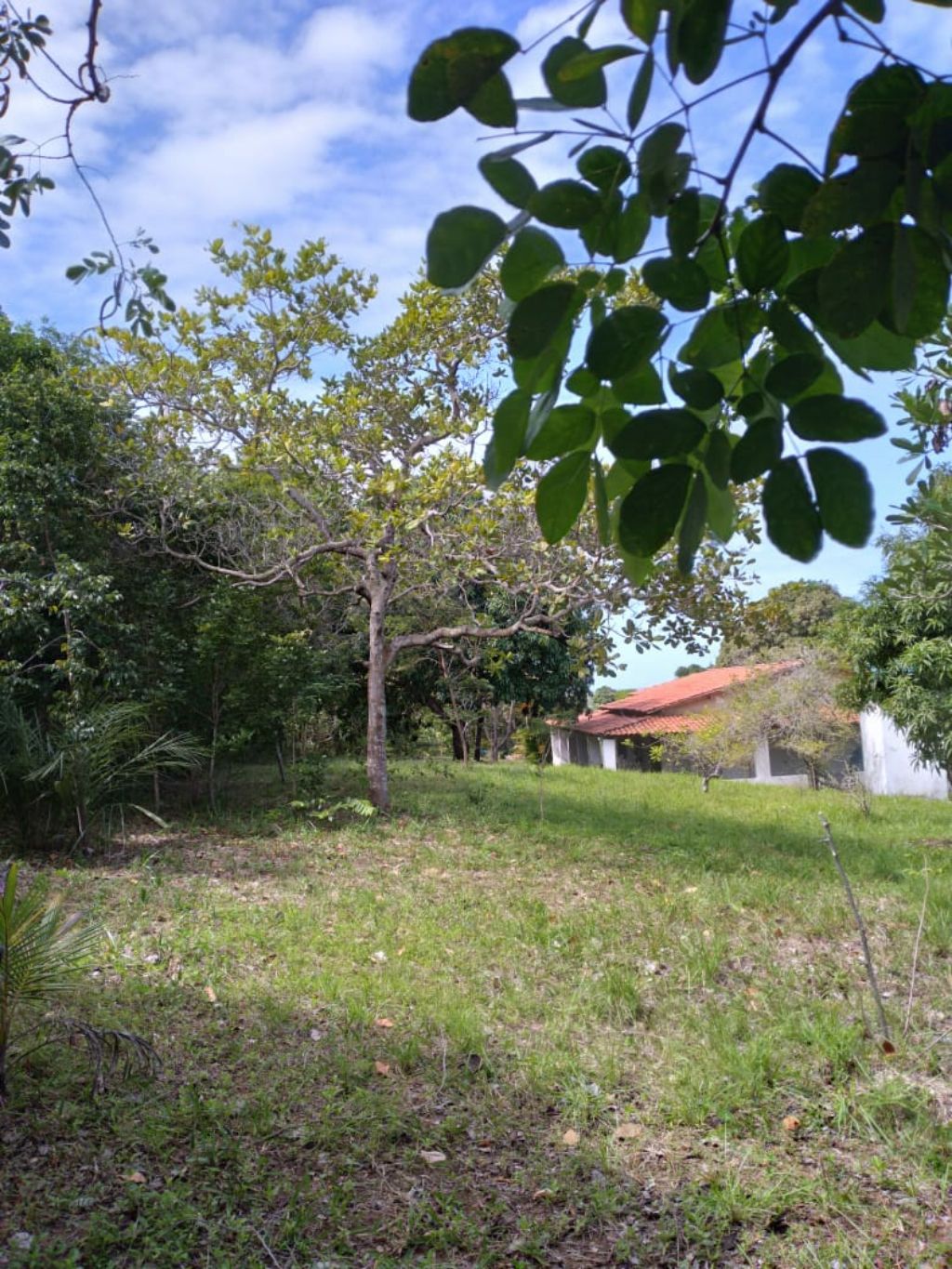 Chácara / sítio residencial em camacari - ba, monte gordo