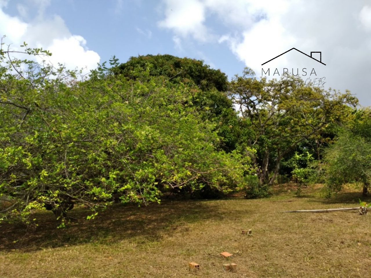 Chácara / sítio residencial em camacari - ba, monte gordo