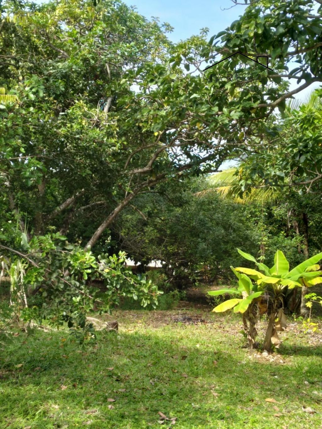 Chácara / sítio residencial em camacari - ba, monte gordo