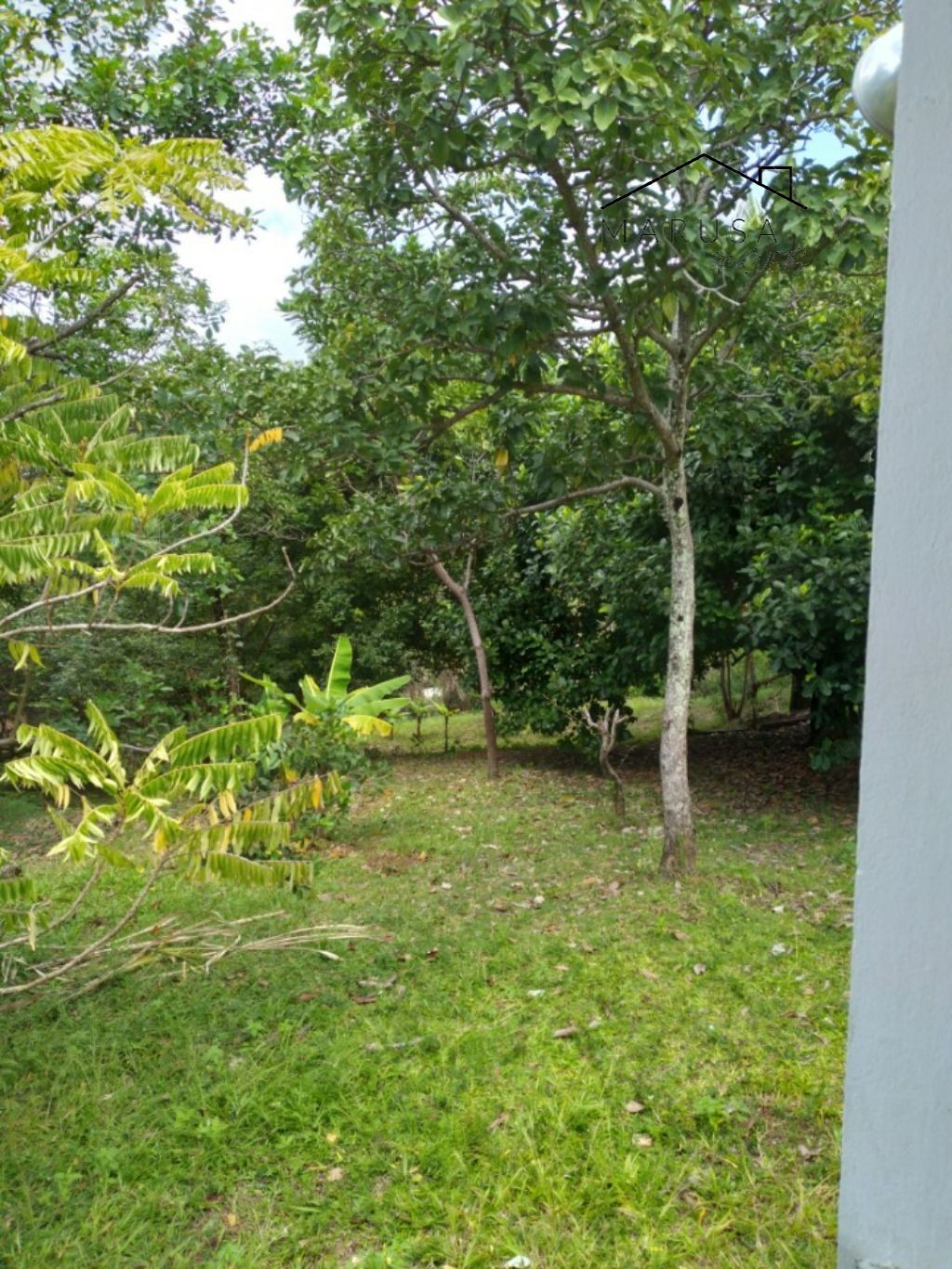 CHÁCARA / SÍTIO RESIDENCIAL em Camacari - BA, Monte Gordo