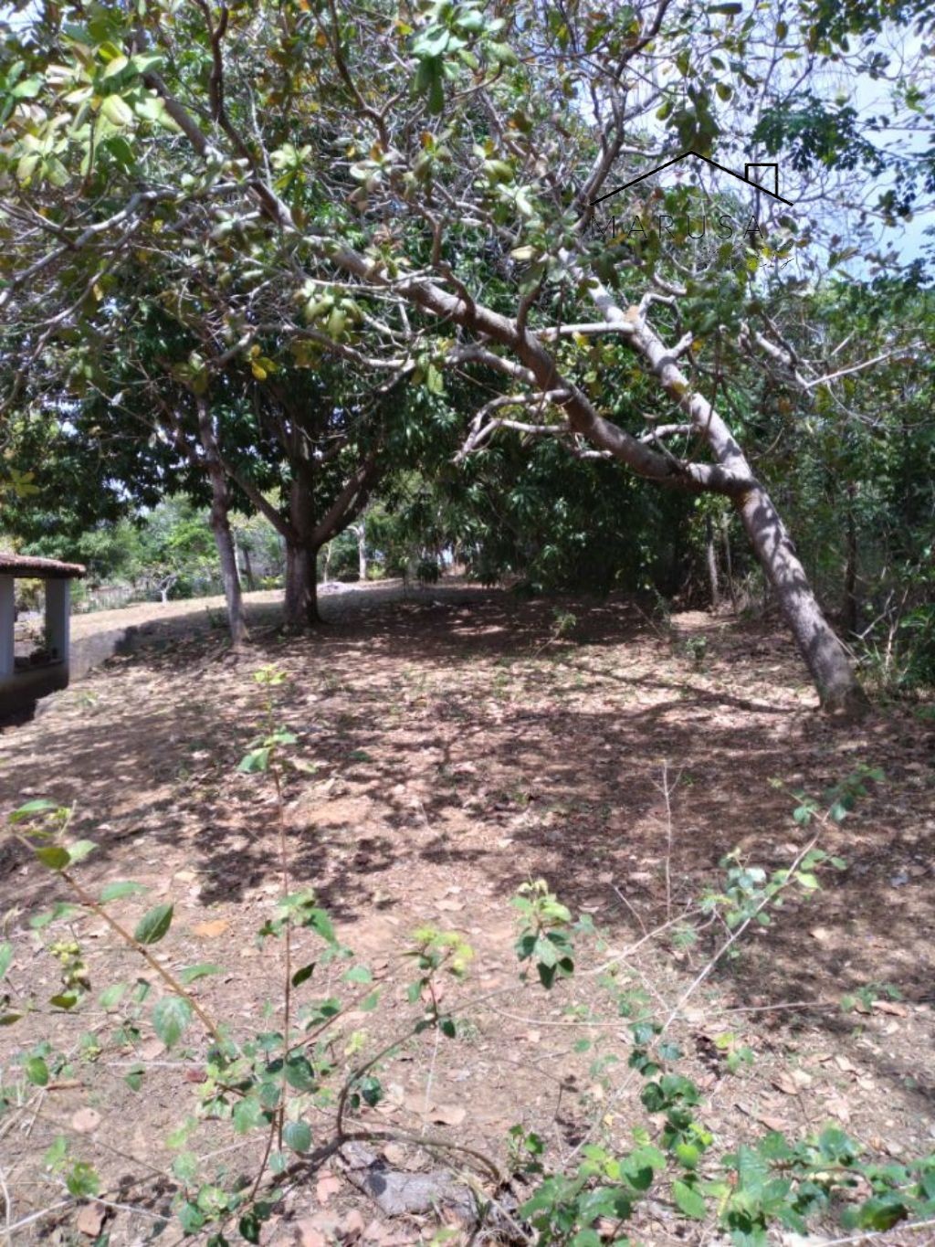 CHÁCARA / SÍTIO RESIDENCIAL em Camacari - BA, Monte Gordo