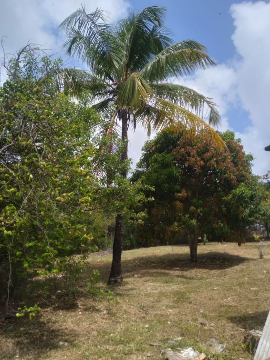 Chácara / sítio residencial em camacari - ba, monte gordo