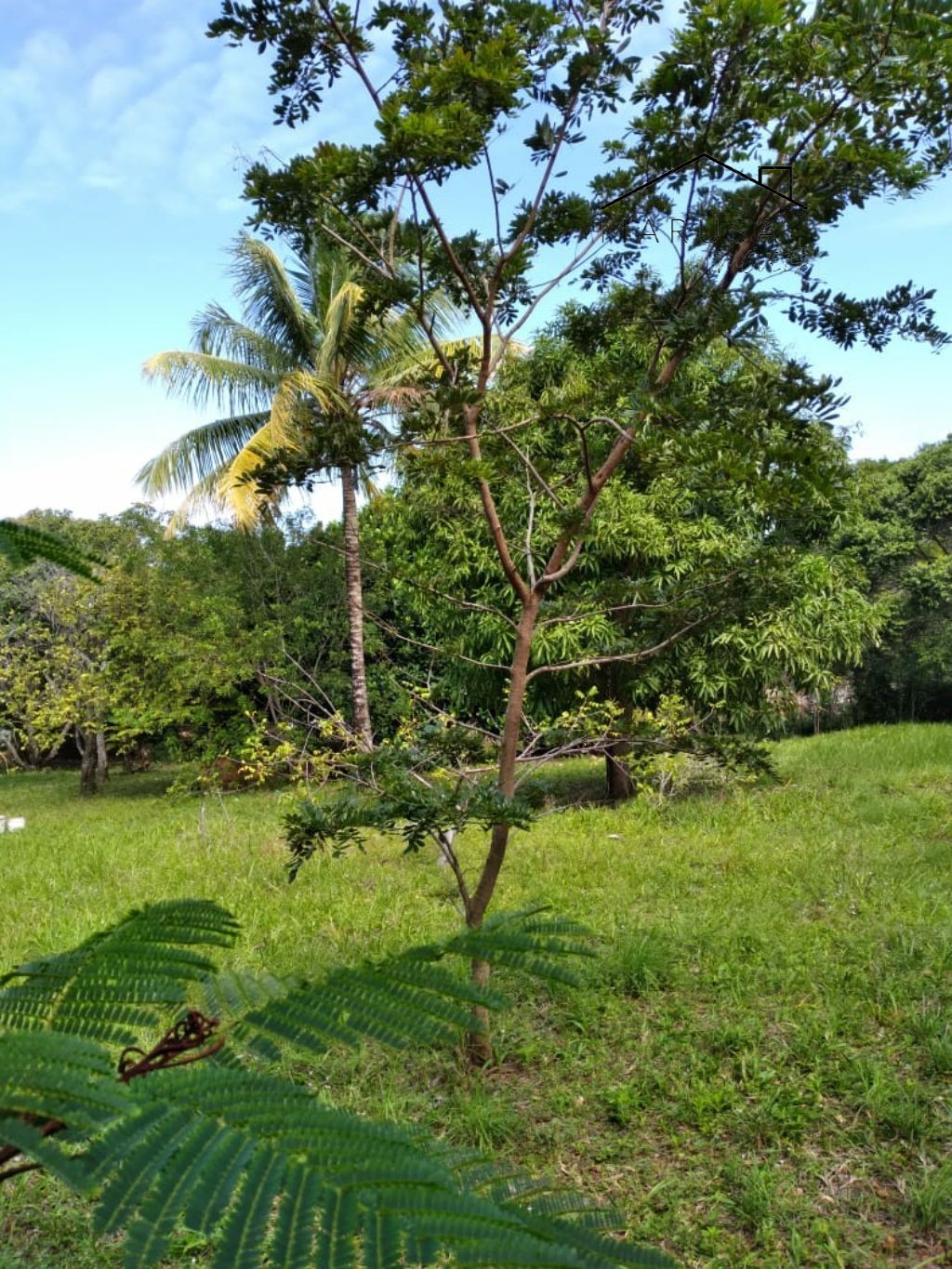 Chácara / sítio residencial em camacari - ba, monte gordo