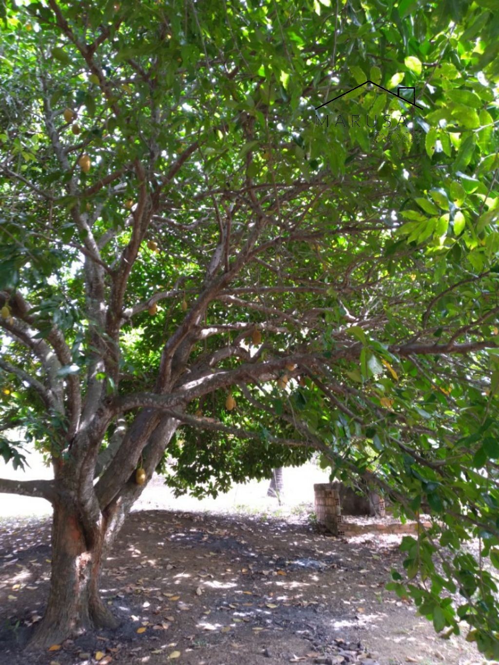 Chácara / sítio residencial em camacari - ba, monte gordo
