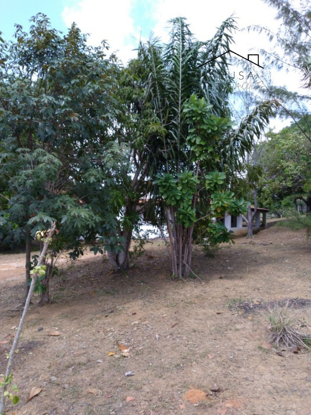 CHÁCARA / SÍTIO RESIDENCIAL em Camacari - BA, Monte Gordo
