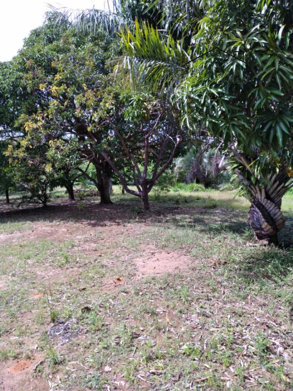 CHÁCARA / SÍTIO RESIDENCIAL em Camacari - BA, Monte Gordo
