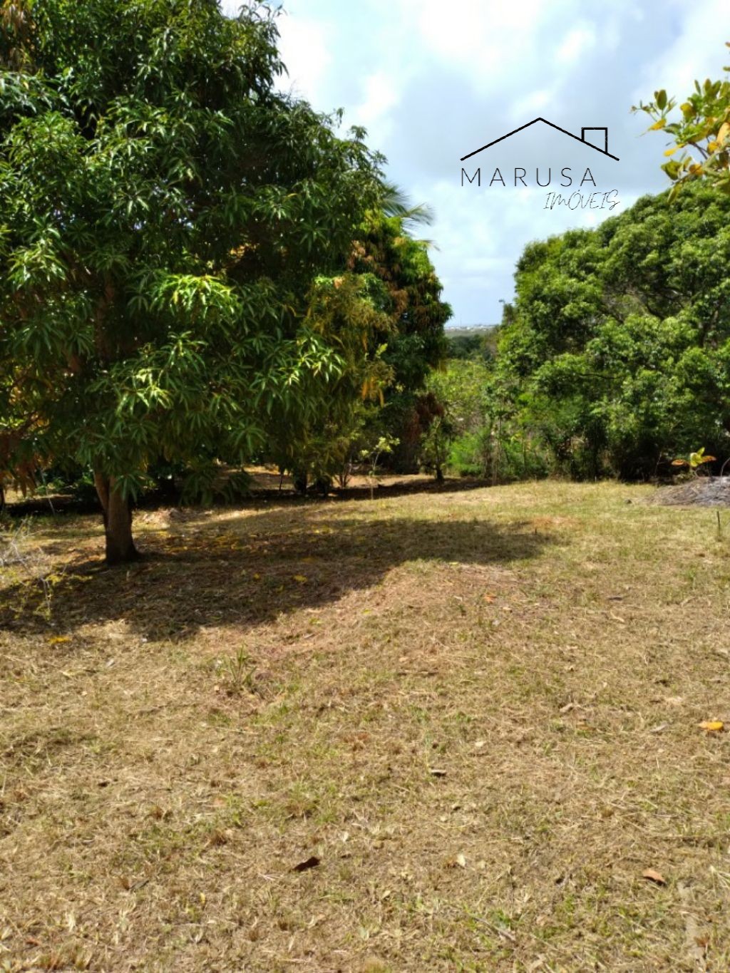 CHÁCARA / SÍTIO RESIDENCIAL em Camacari - BA, Monte Gordo