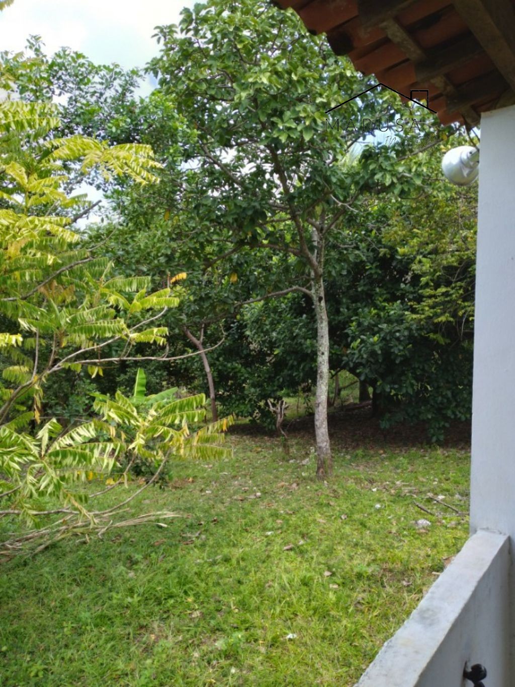 CHÁCARA / SÍTIO RESIDENCIAL em Camacari - BA, Monte Gordo