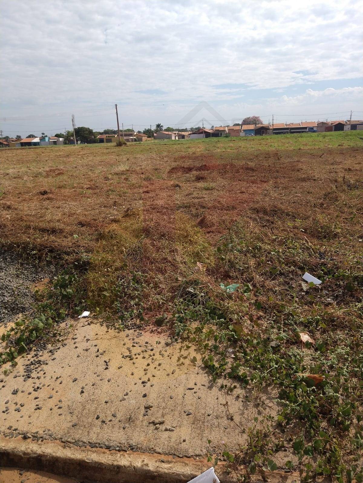 Terreno, 3 hectares - Foto 1