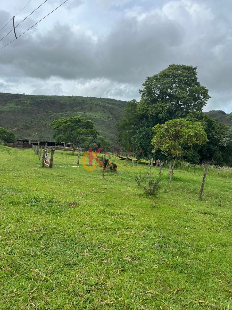 Fazenda com 53 Alqueires para Venda ou Arrendamento - Fortaleza de Minas -MG