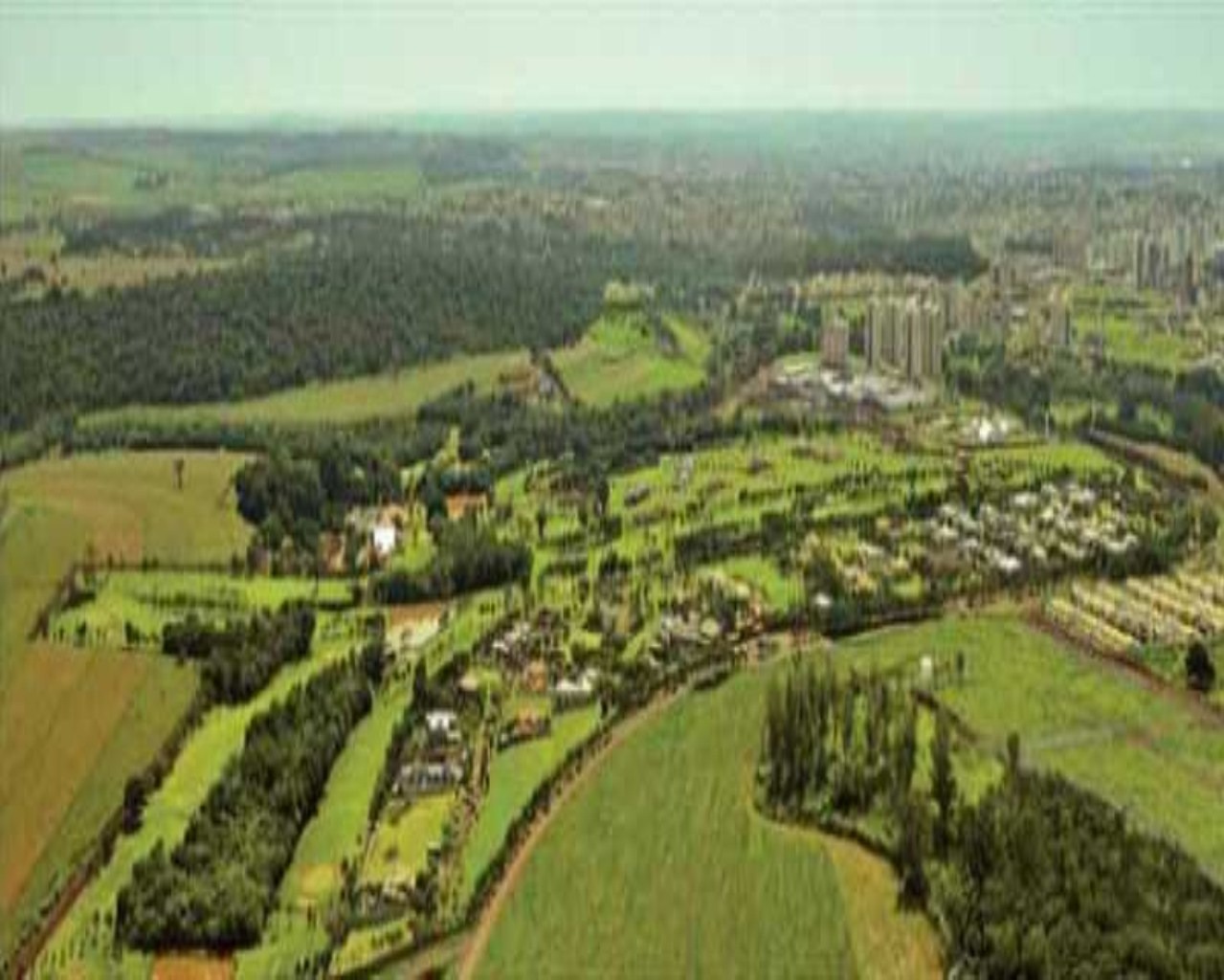 Terreno com 428m²no bairro Vila do Golfe em Ribeirão Preto-SP, no condomínio Vila do Golfe.