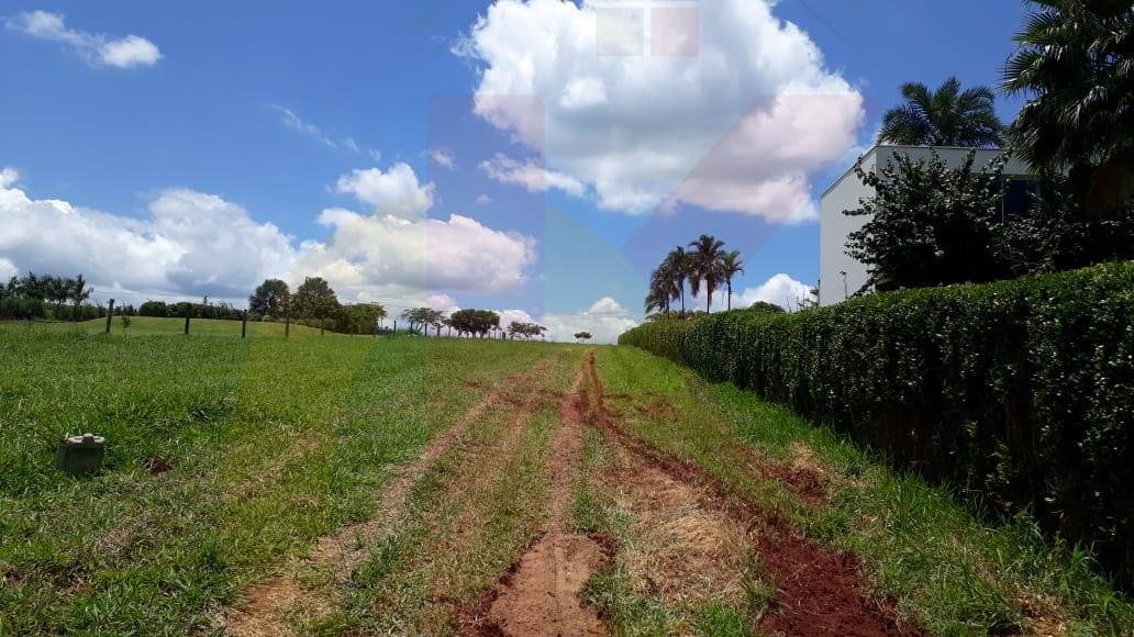 Terreno, 33 hectares - Foto 2