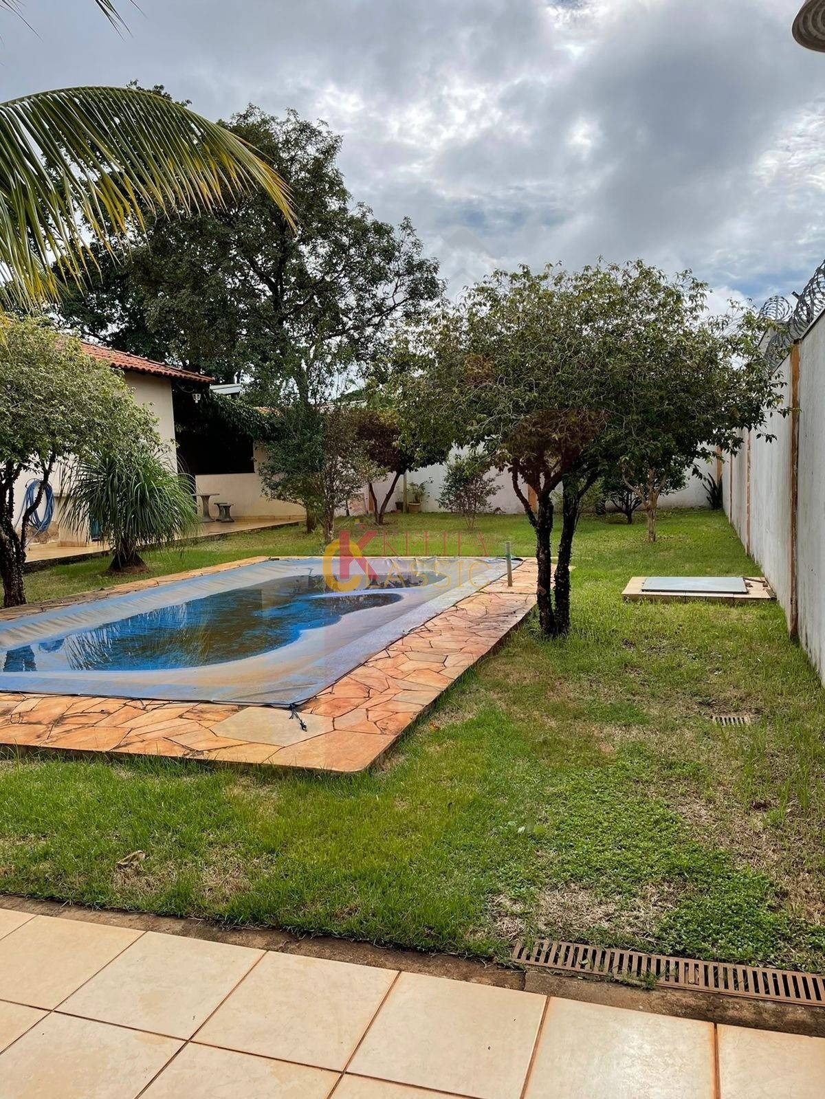Terreno, 3 hectares - Foto 4