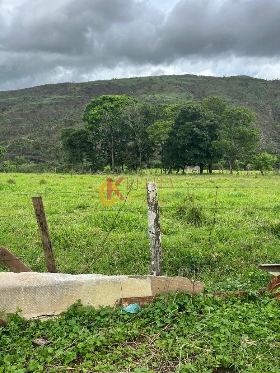 Fazenda com 53 Alqueires para Venda ou Arrendamento - Fortaleza de Minas -MG
