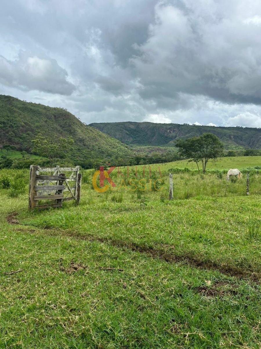Fazenda com 53 Alqueires para Venda ou Arrendamento - Fortaleza de Minas -MG