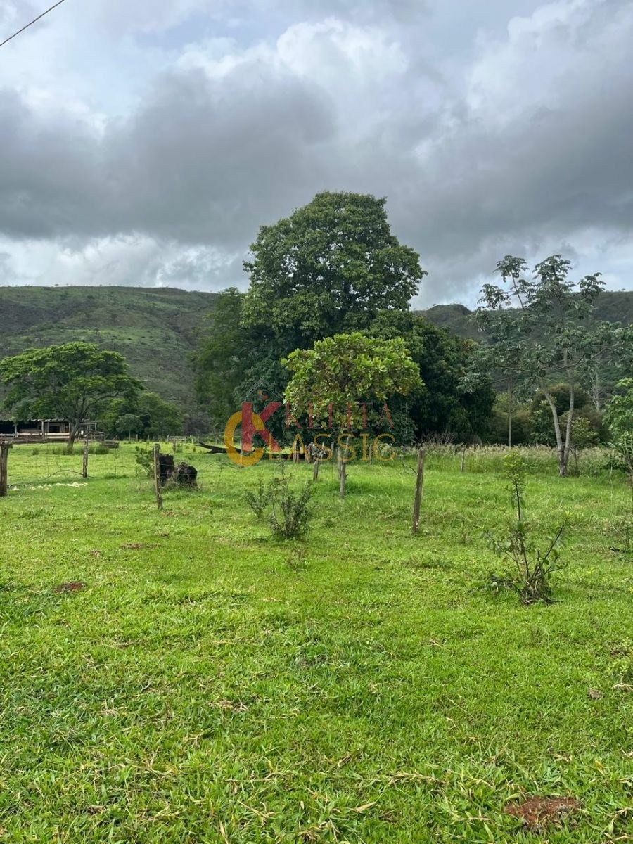 Fazenda com 53 Alqueires para Venda ou Arrendamento - Fortaleza de Minas -MG