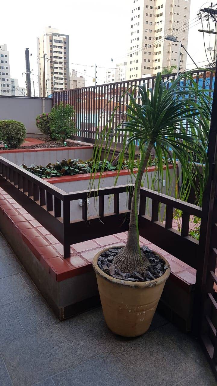 Apartamento, 3 quartos, 11300 m² - Foto 18