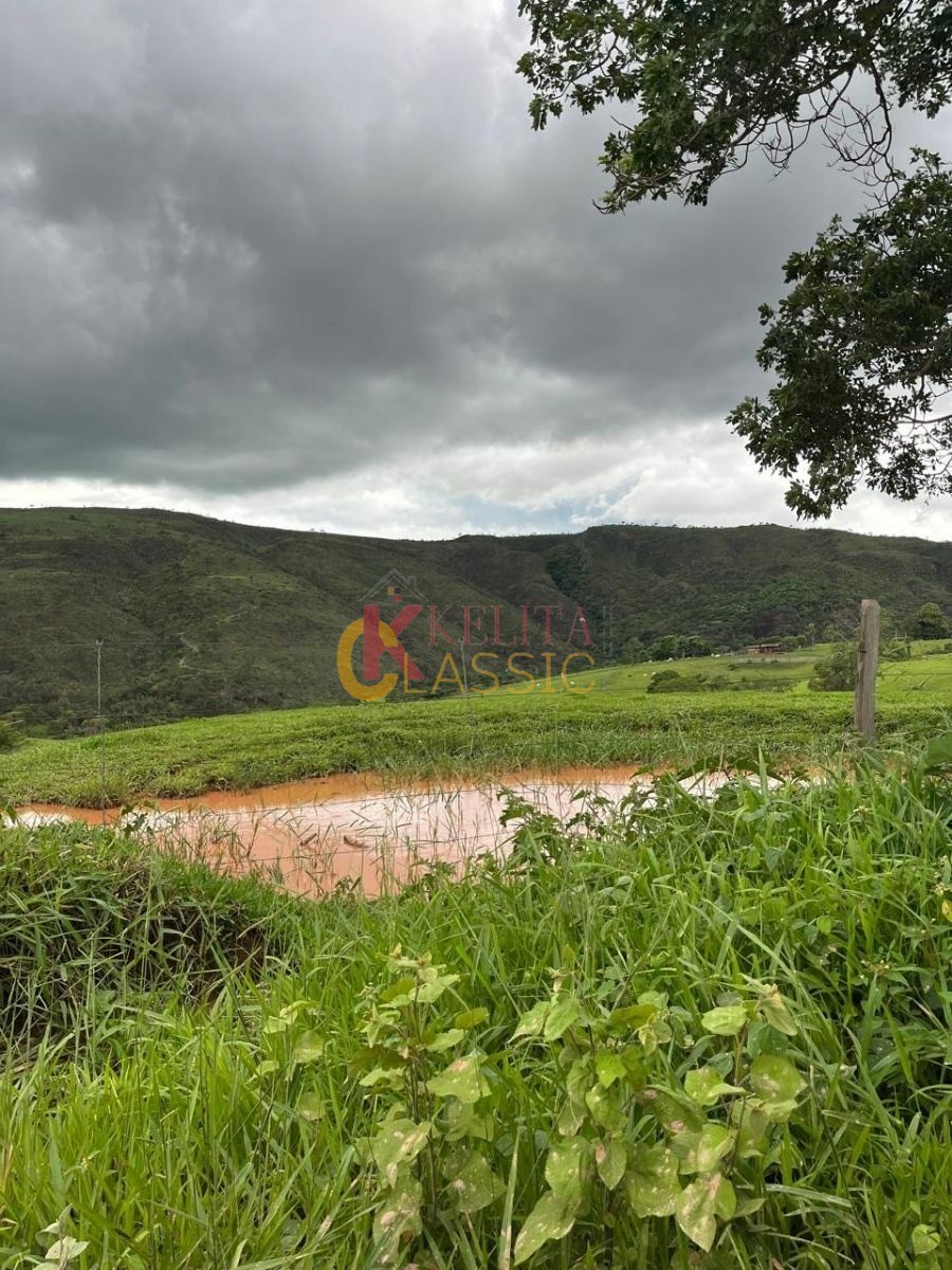 Fazenda com 53 Alqueires para Venda ou Arrendamento - Fortaleza de Minas -MG