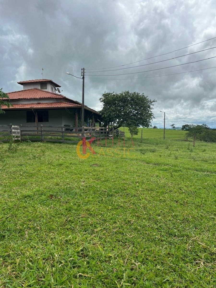 Fazenda com 53 Alqueires para Venda ou Arrendamento - Fortaleza de Minas -MG