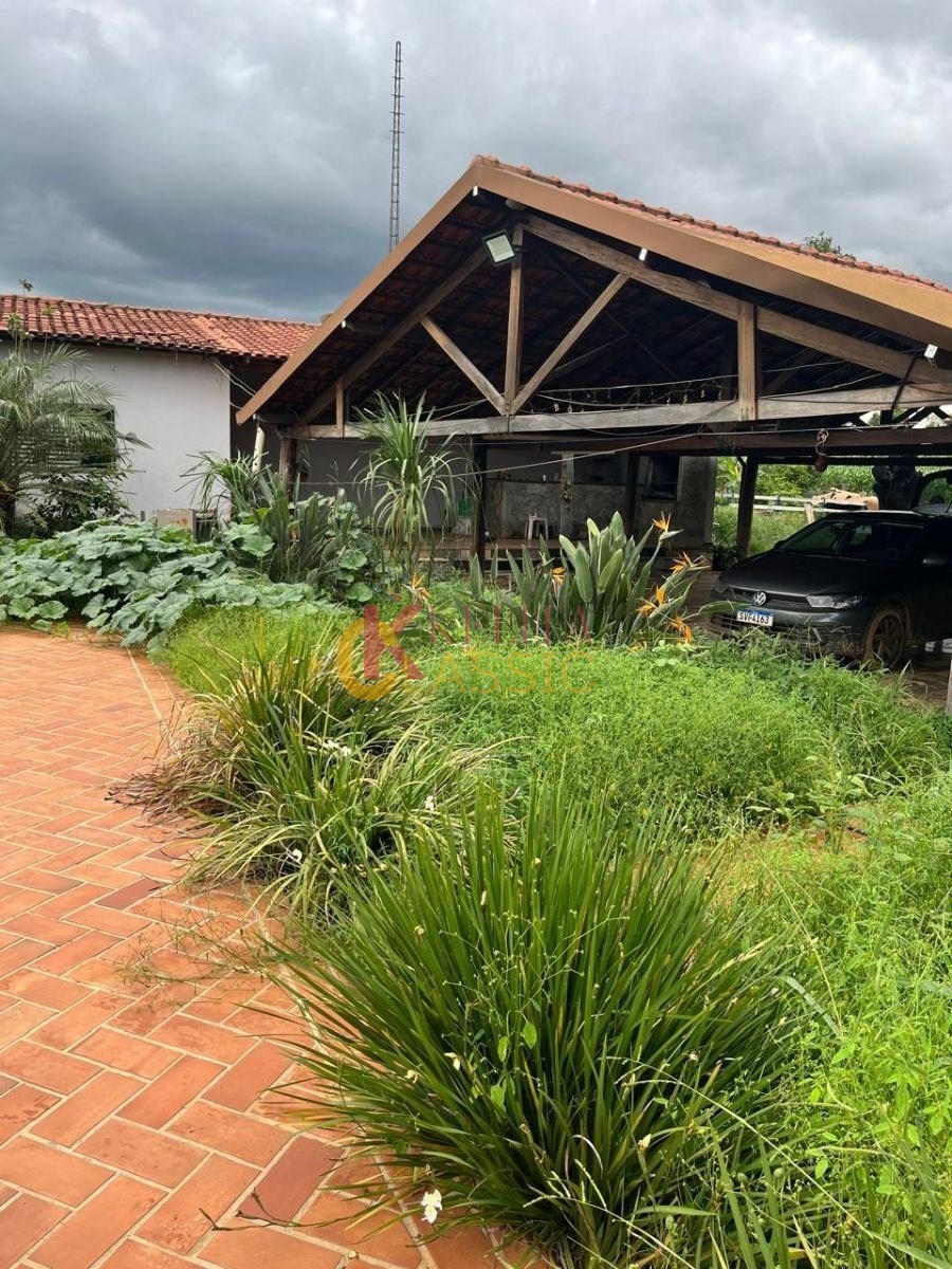 Fazenda com 53 Alqueires para Venda ou Arrendamento - Fortaleza de Minas -MG