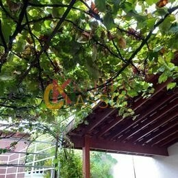 Casa, 1 quarto, 125 m² - Foto 14