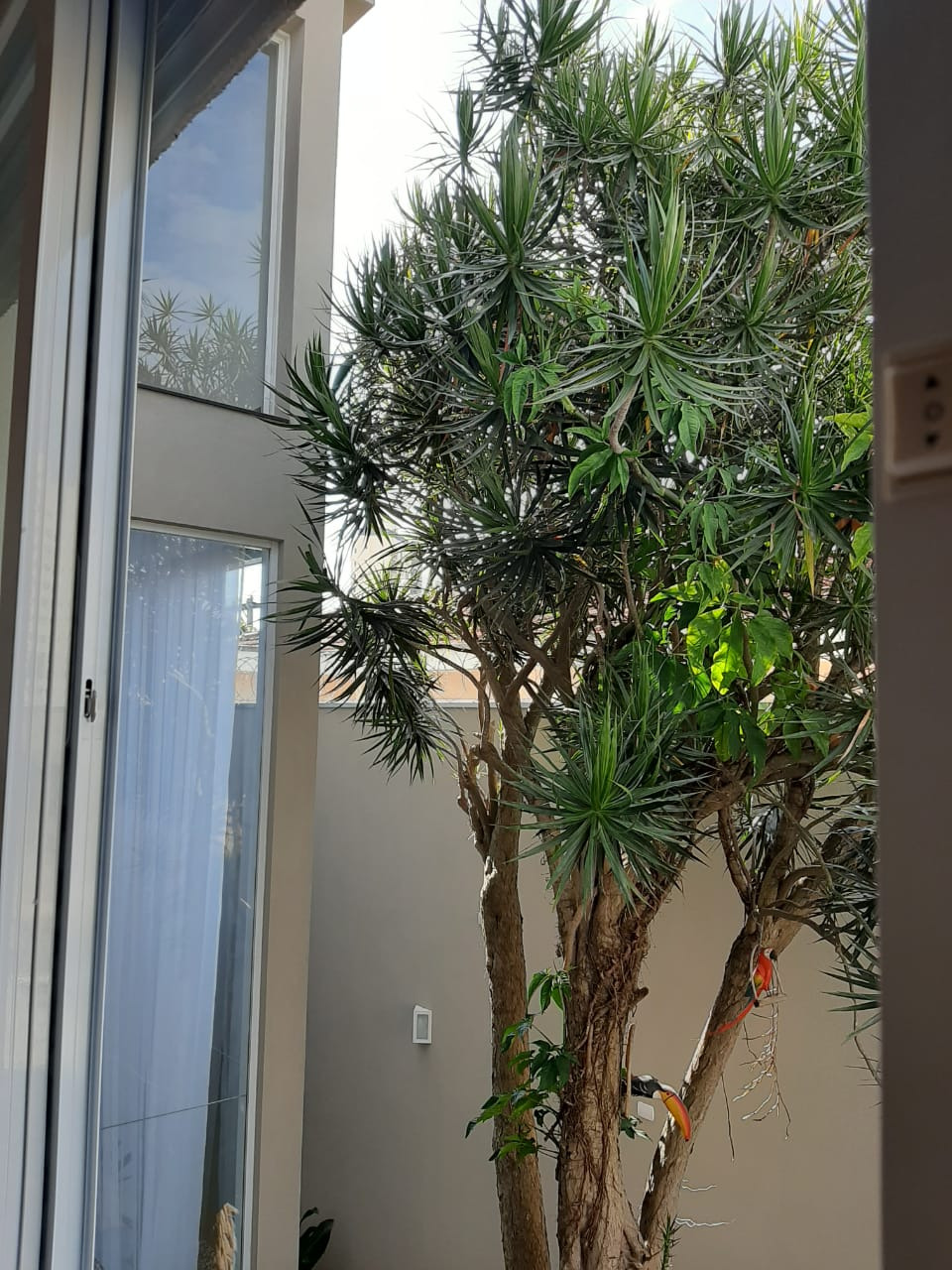 Casa residencial em são paulo - sp, bosque da saúde
