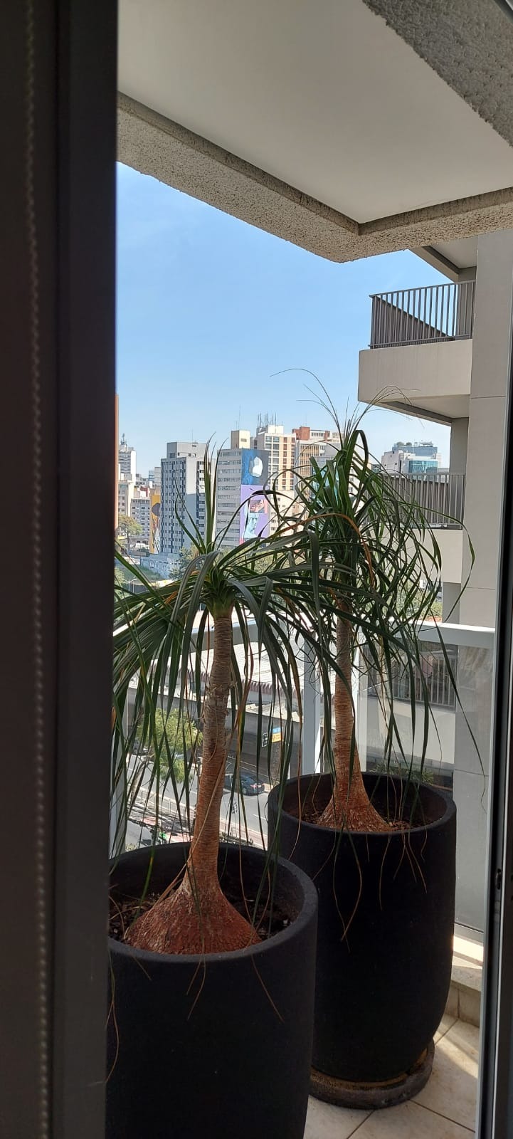 Sala comercial para Venda e Locação - Aclimação, São Paulo